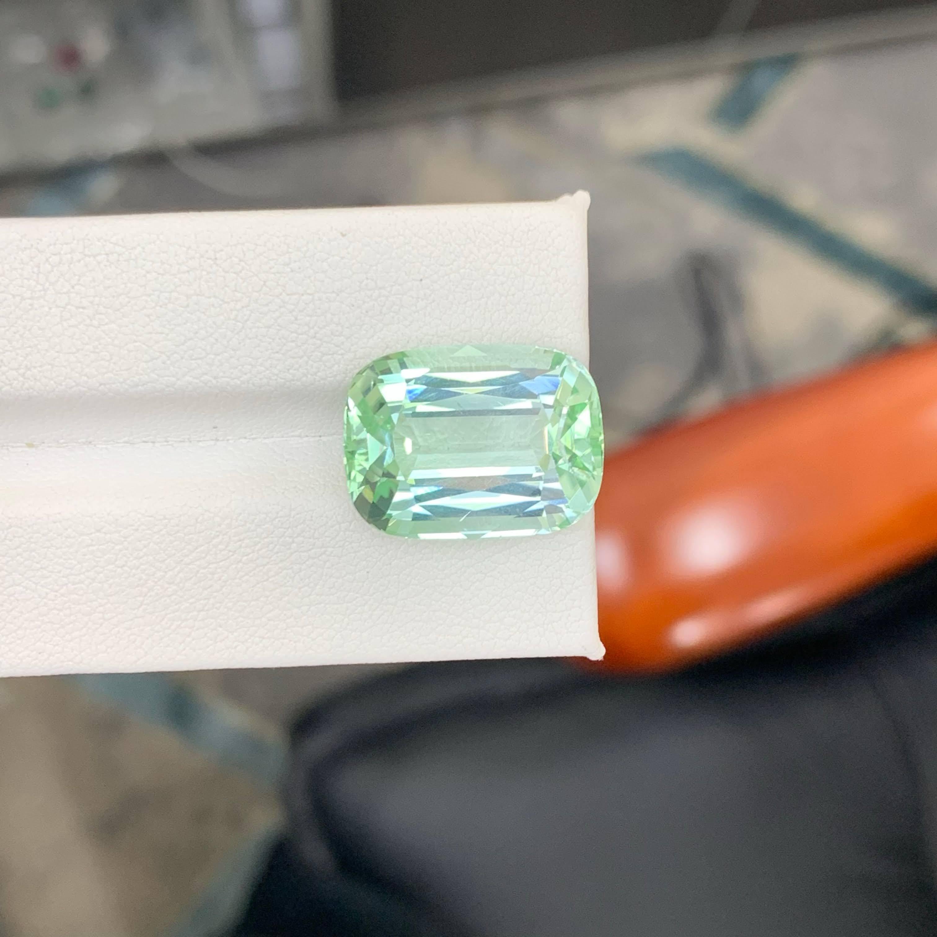 20,45 Karat Natürlicher loser hellgrüner Turmalin Cushion-Schliff Afrika Edelstein im Angebot 3