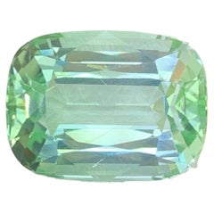 20.45 Carat Natural Loose Light Green Tourmaline Cushion Cut Africa Gemstone (pierre précieuse d
Afrique)