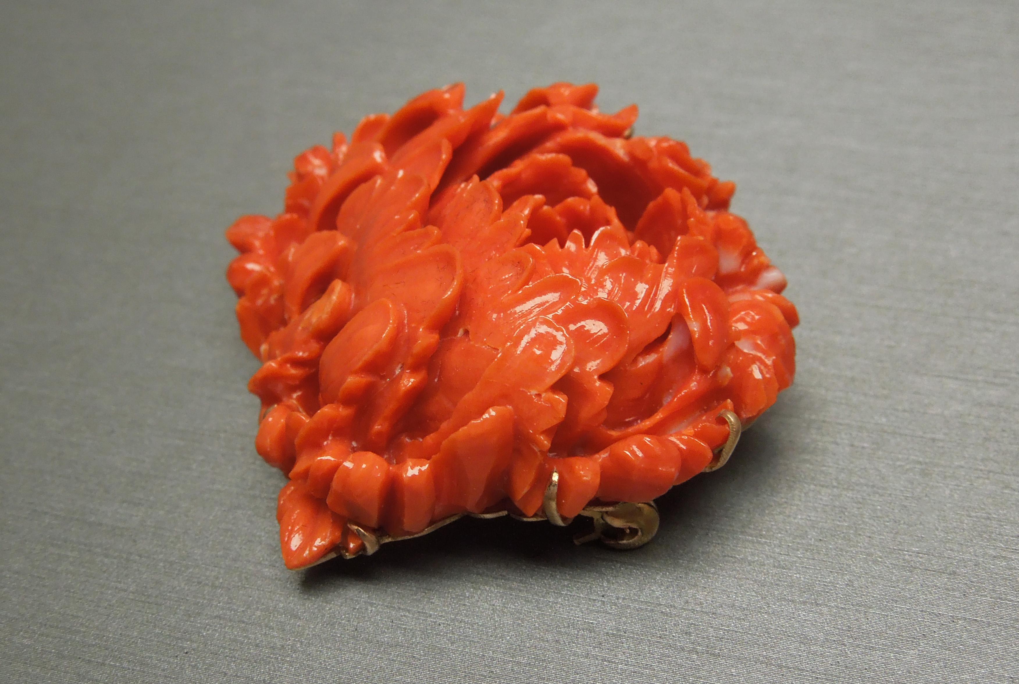carved coral