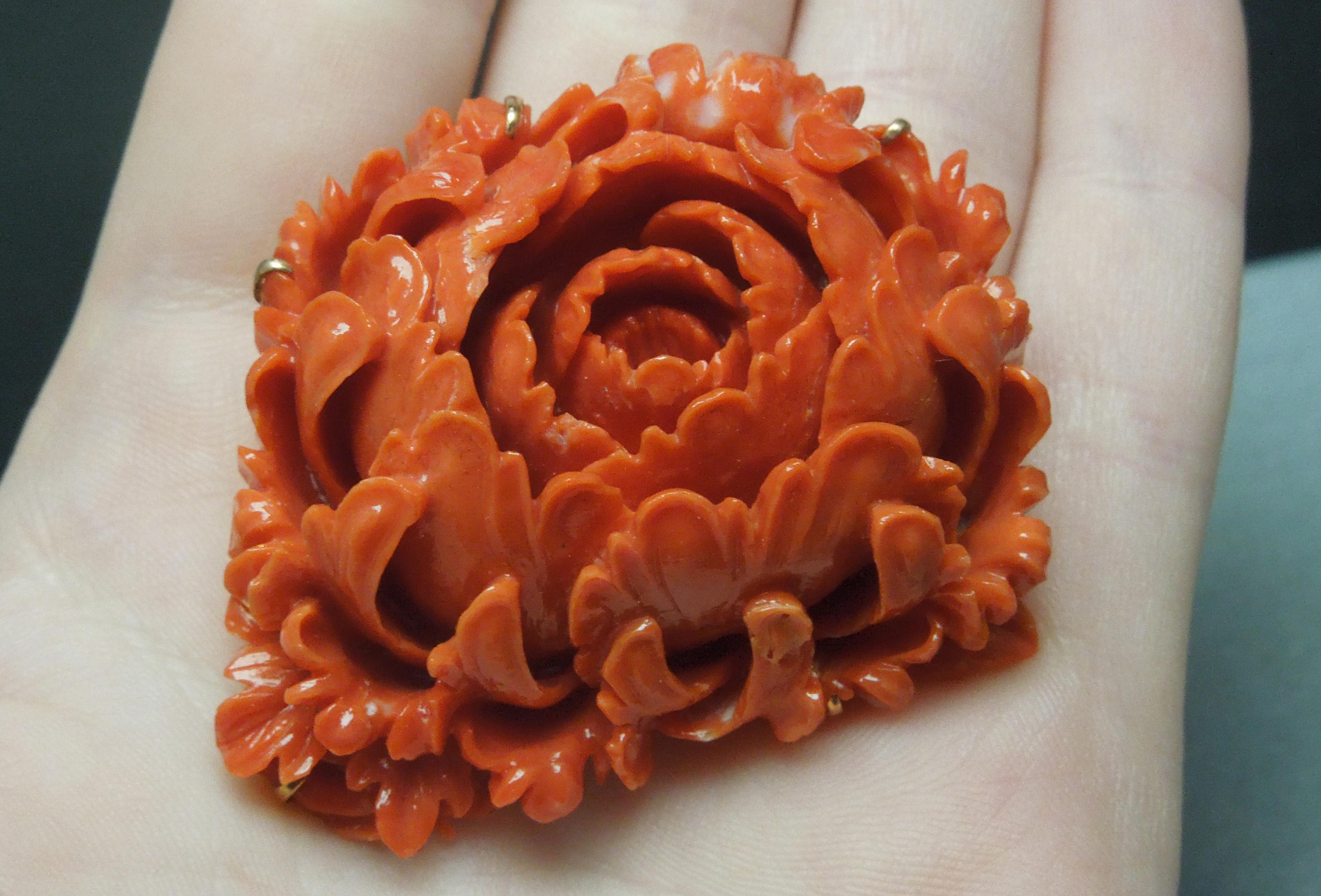 Women's 205 Carat Carved Ox Blood Coral Chrysanthemum Victorian Brooch
