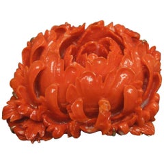205 Carat Carved Ox Blood Coral Chrysanthemum Victorian Brooch