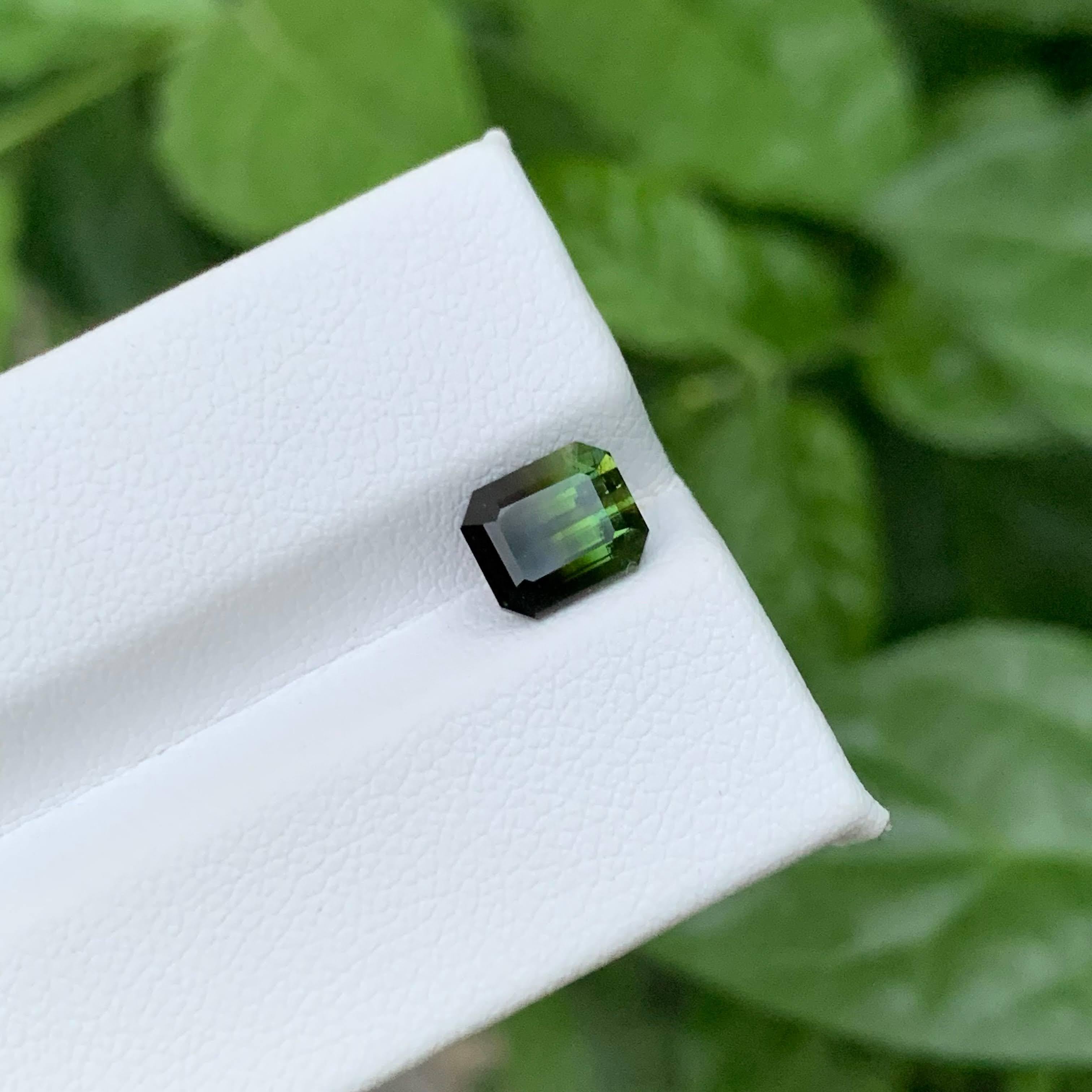 2.05 Karat Natürliche Lose Bicolor Turmalin Stein Smaragdschliff Pakistanischer Edelstein (Moderne) im Angebot
