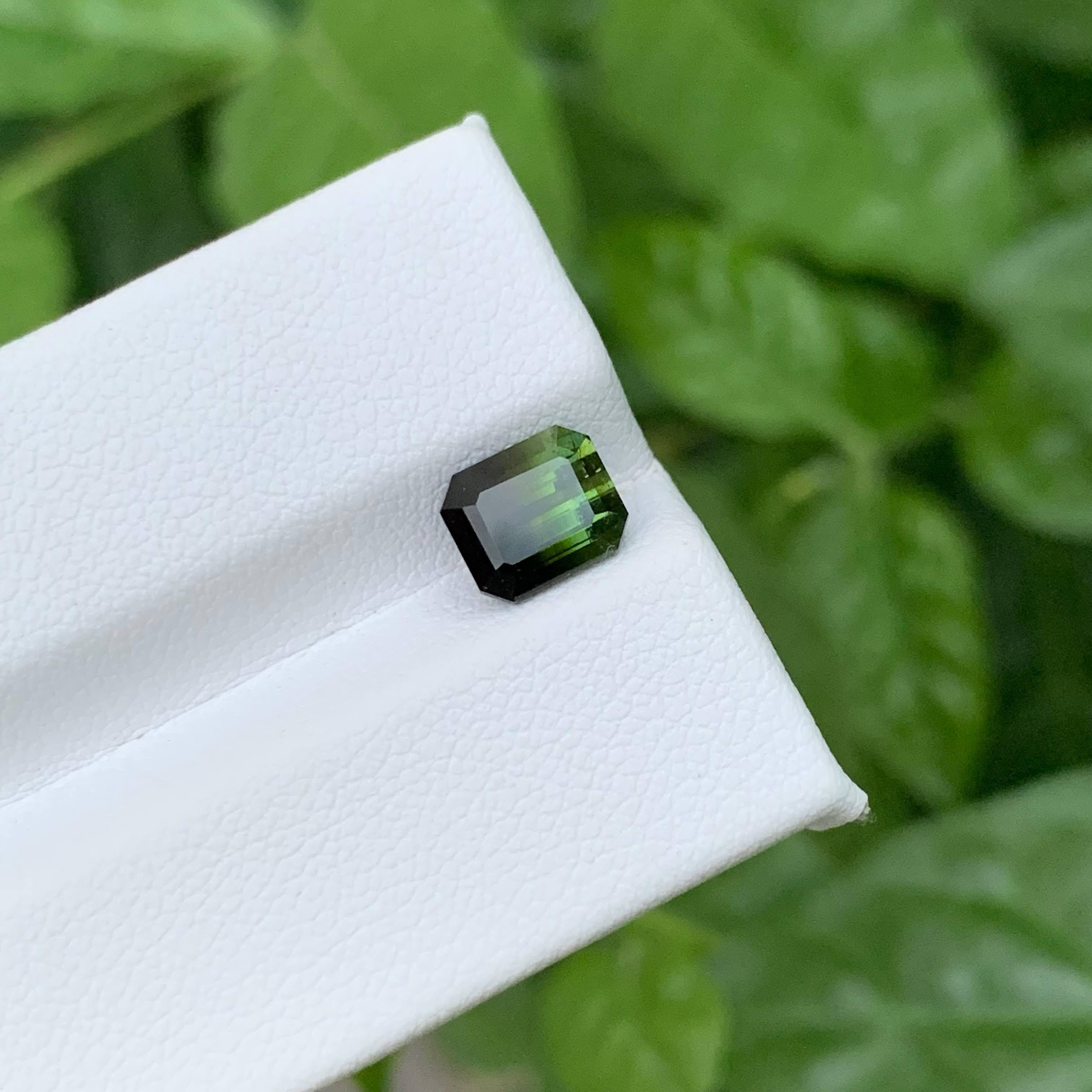 2.05 Karat Natürliche Lose Bicolor Turmalin Stein Smaragdschliff Pakistanischer Edelstein für Damen oder Herren im Angebot