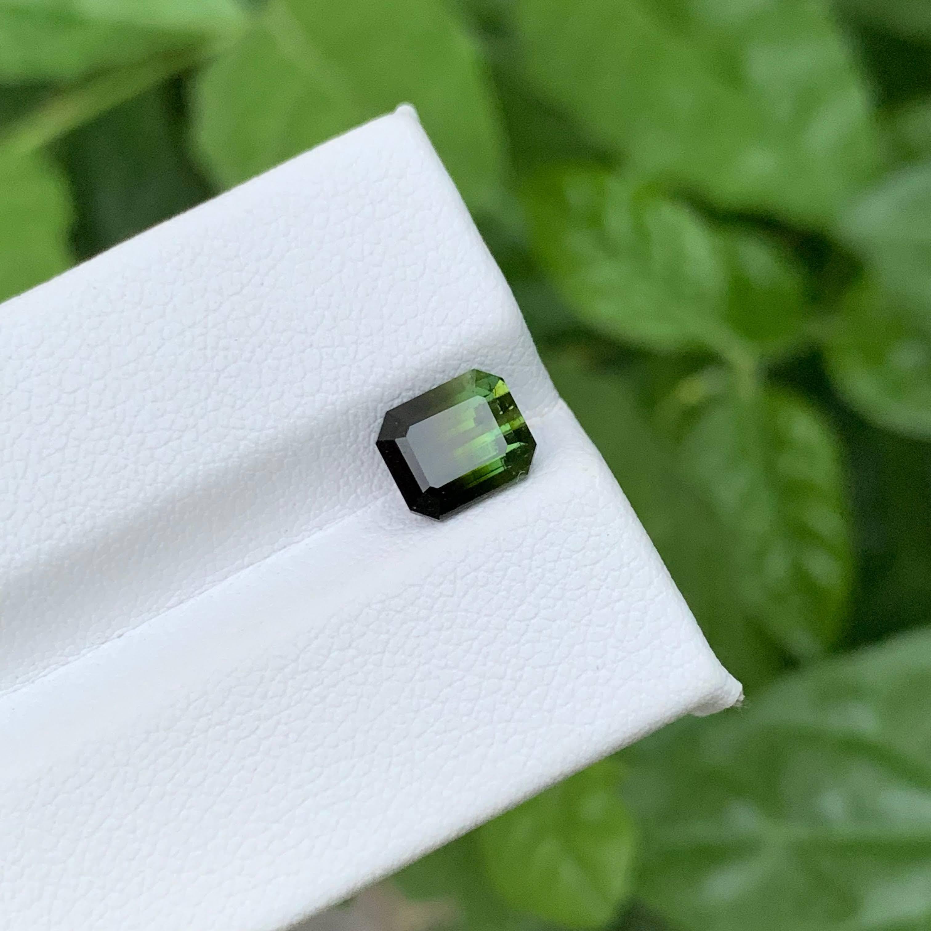 2.05 Karat Natürliche Lose Bicolor Turmalin Stein Smaragdschliff Pakistanischer Edelstein im Angebot 1