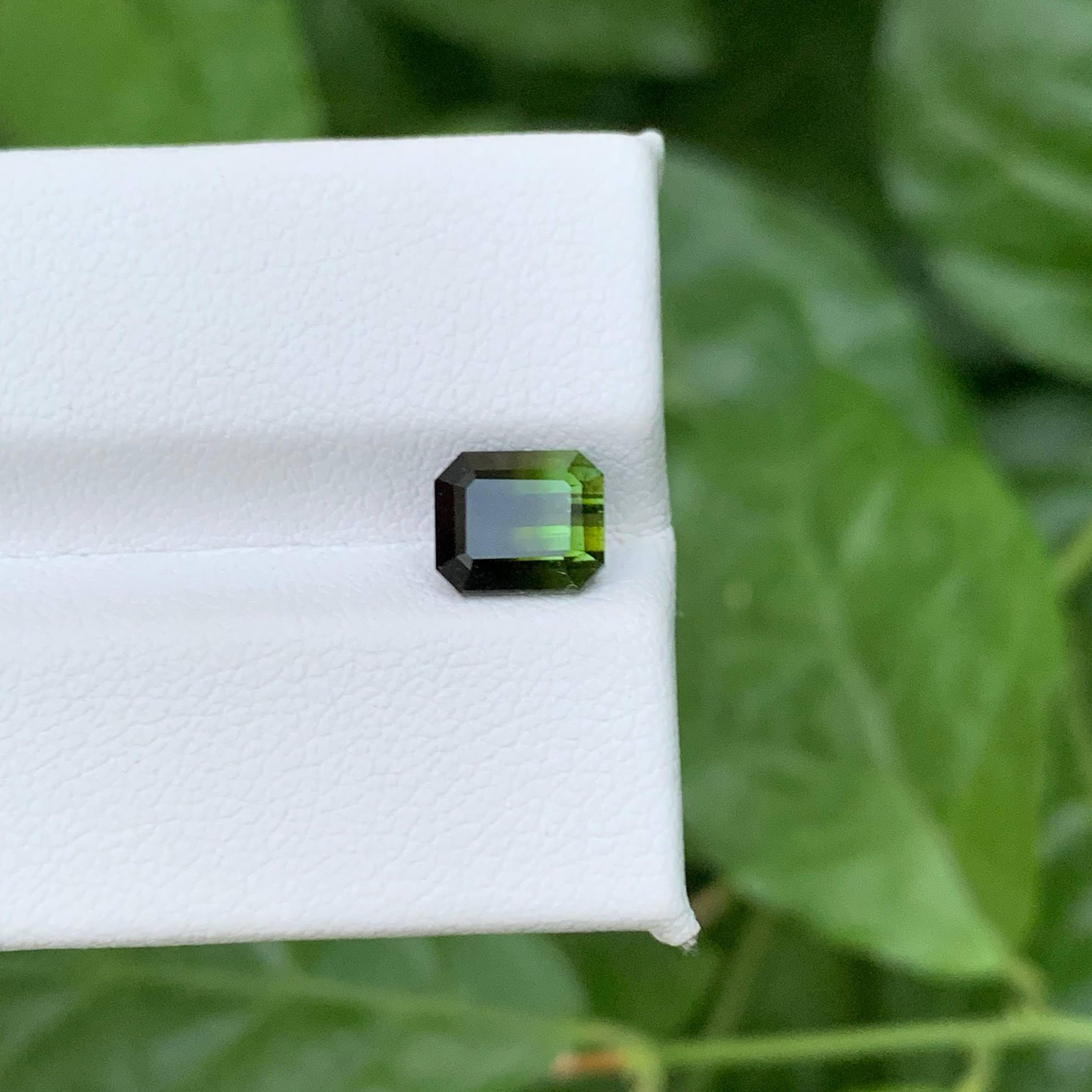 2.05 Karat Natürliche Lose Bicolor Turmalin Stein Smaragdschliff Pakistanischer Edelstein im Angebot 2