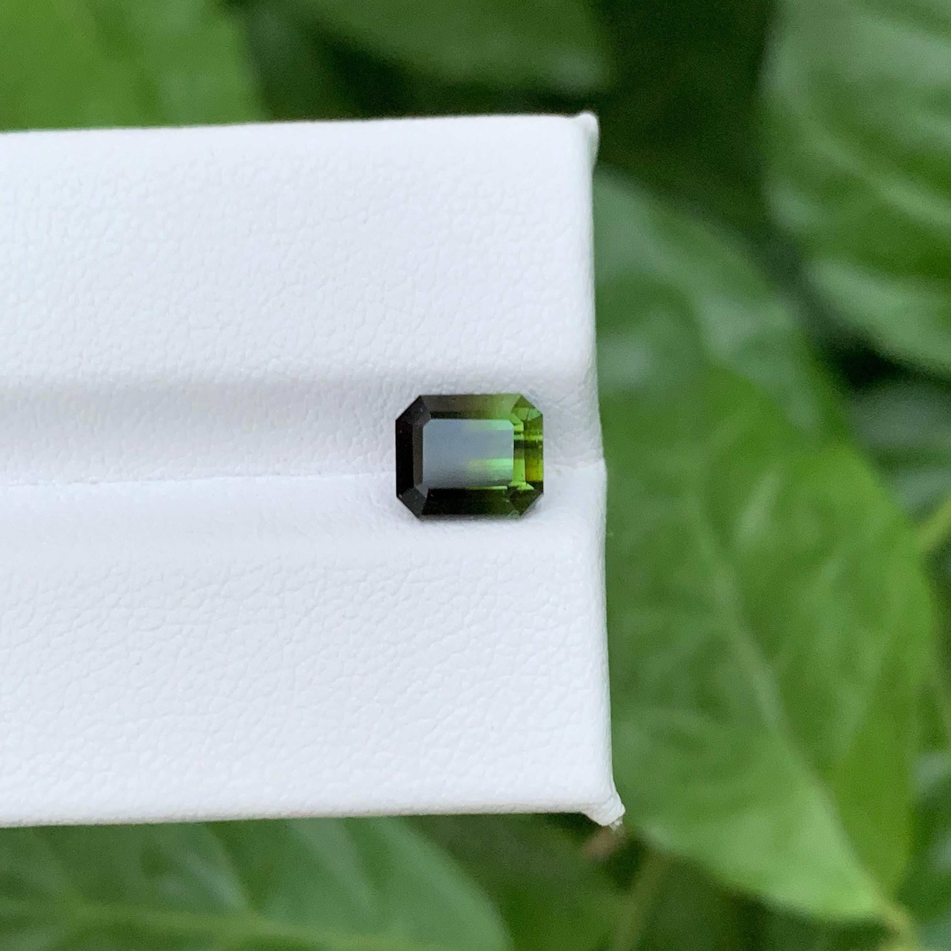 2.05 Karat Natürliche Lose Bicolor Turmalin Stein Smaragdschliff Pakistanischer Edelstein im Angebot 3