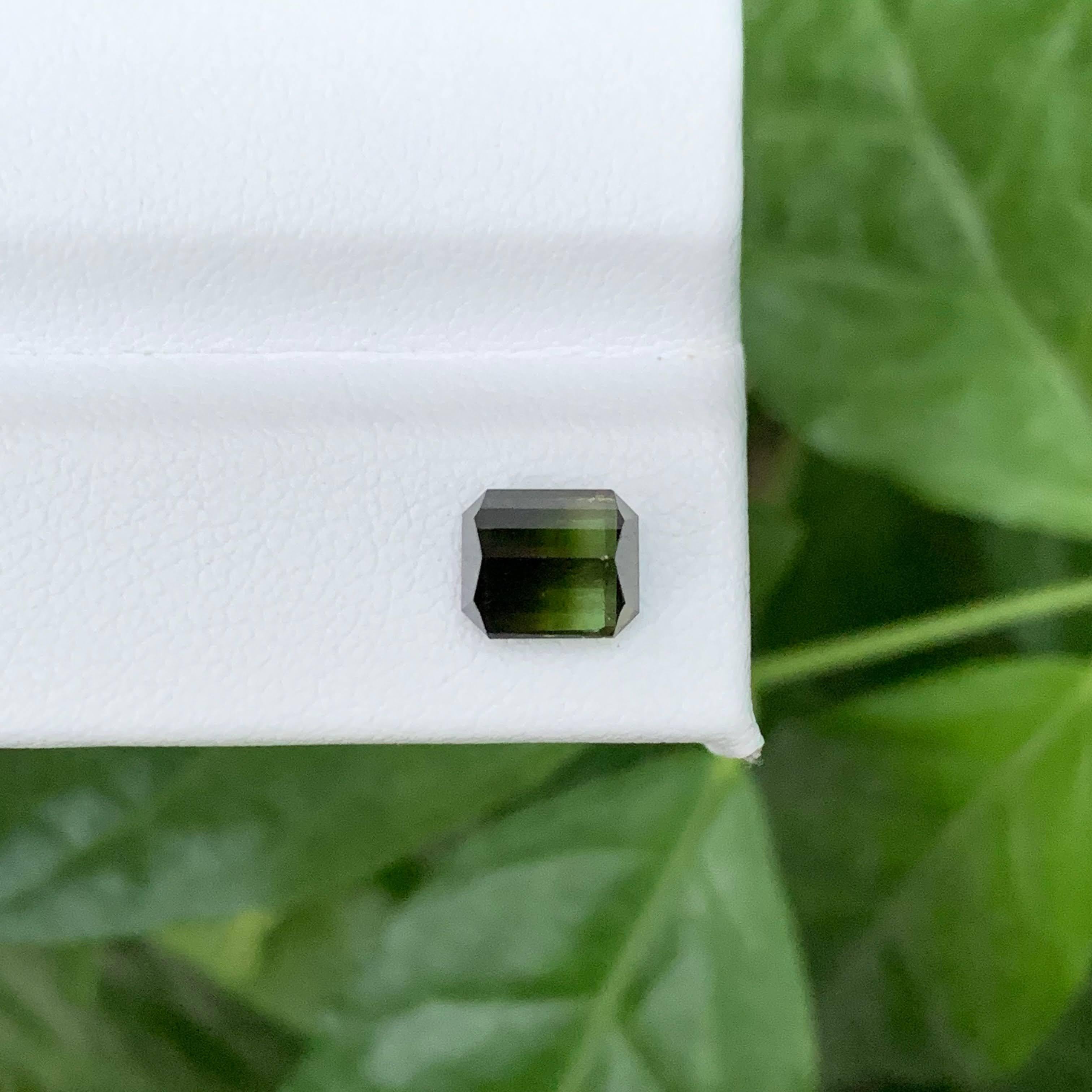 2.05 Karat Natürliche Lose Bicolor Turmalin Stein Smaragdschliff Pakistanischer Edelstein im Angebot 4