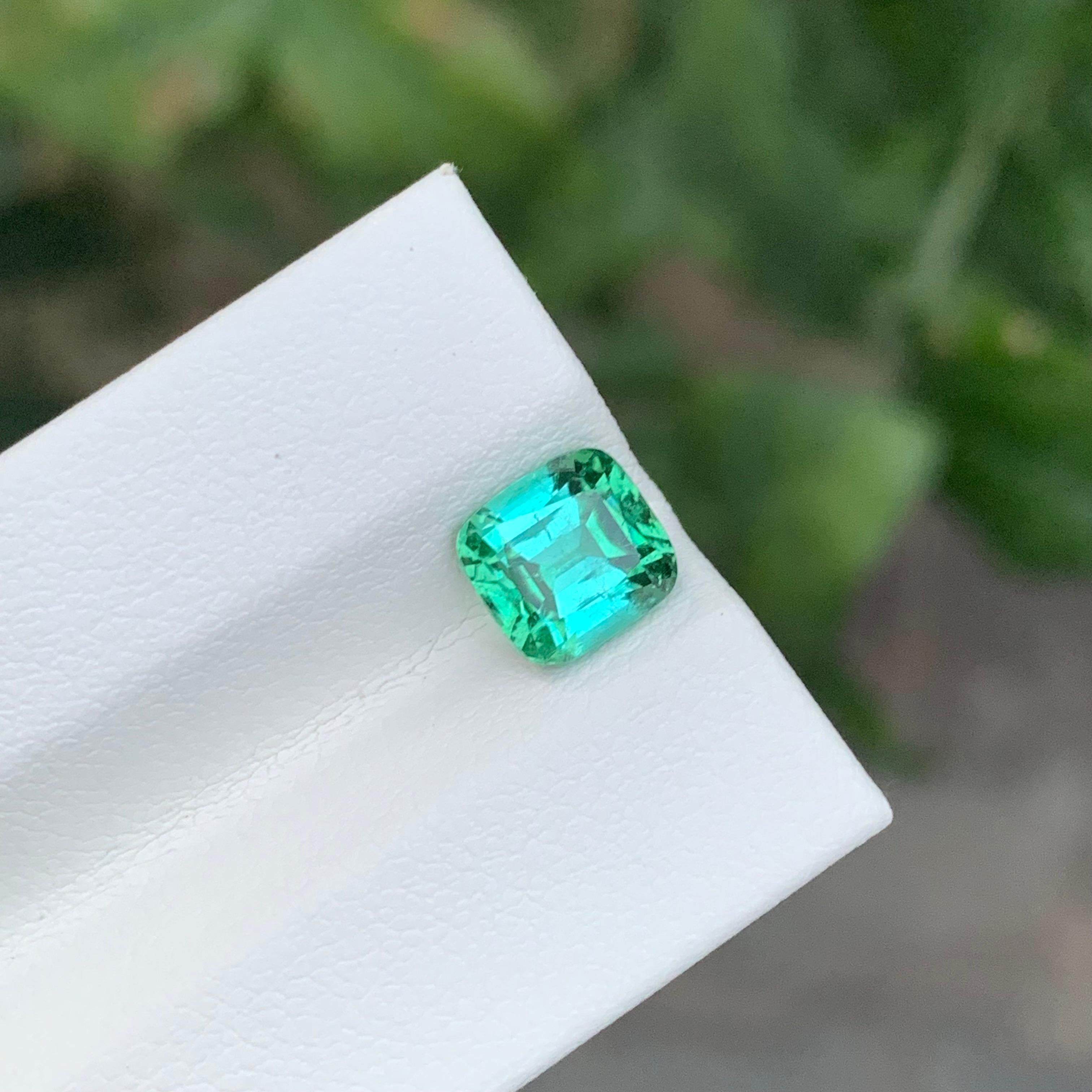 Tourmaline verte bleue facettée

Poids : 2,05 carats
Dimension : 7,1 x 6,7 x 5,3 mm
Couleur : bleu vert
Traitement : Non
Certificat : Sur demande du client
Forme : Coussin


La tourmaline est une pierre précieuse captivante connue pour sa