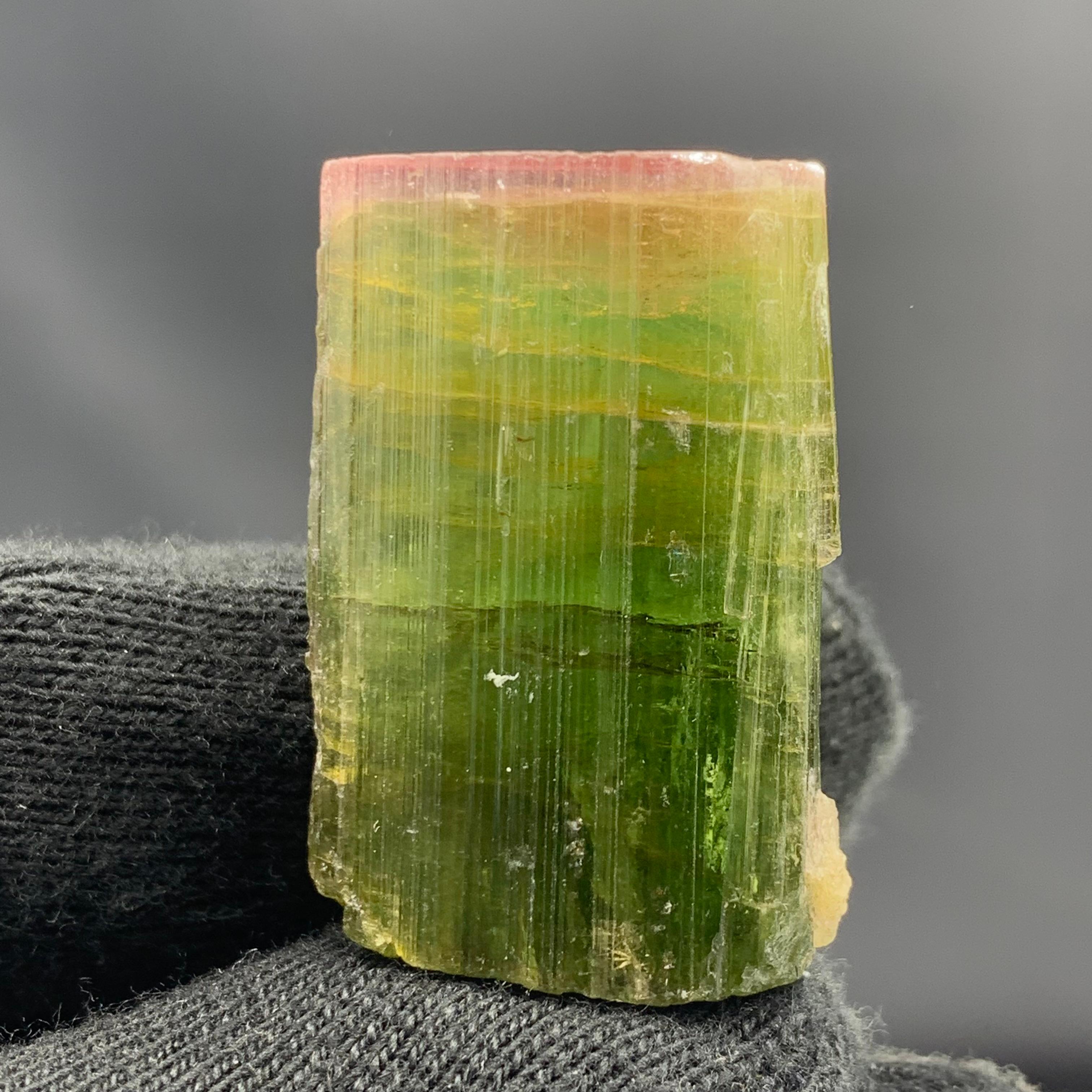 20.63 Gram Elegant Pink Cap Tri Color Tourmaline From Paprook, Afghanistan 

Weight: 20.63 Gram 
Dimension : 3.3 x 2.1 x 1.3 Cm 
Origin: Paprook Mine, Afghanistan 

Tourmaline is a crystalline silicate mineral group in which boron is compounded with