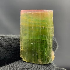 20.63 Gram Elegant Pink Cap Tri Color Tourmaline From Paprook, Afghanistan