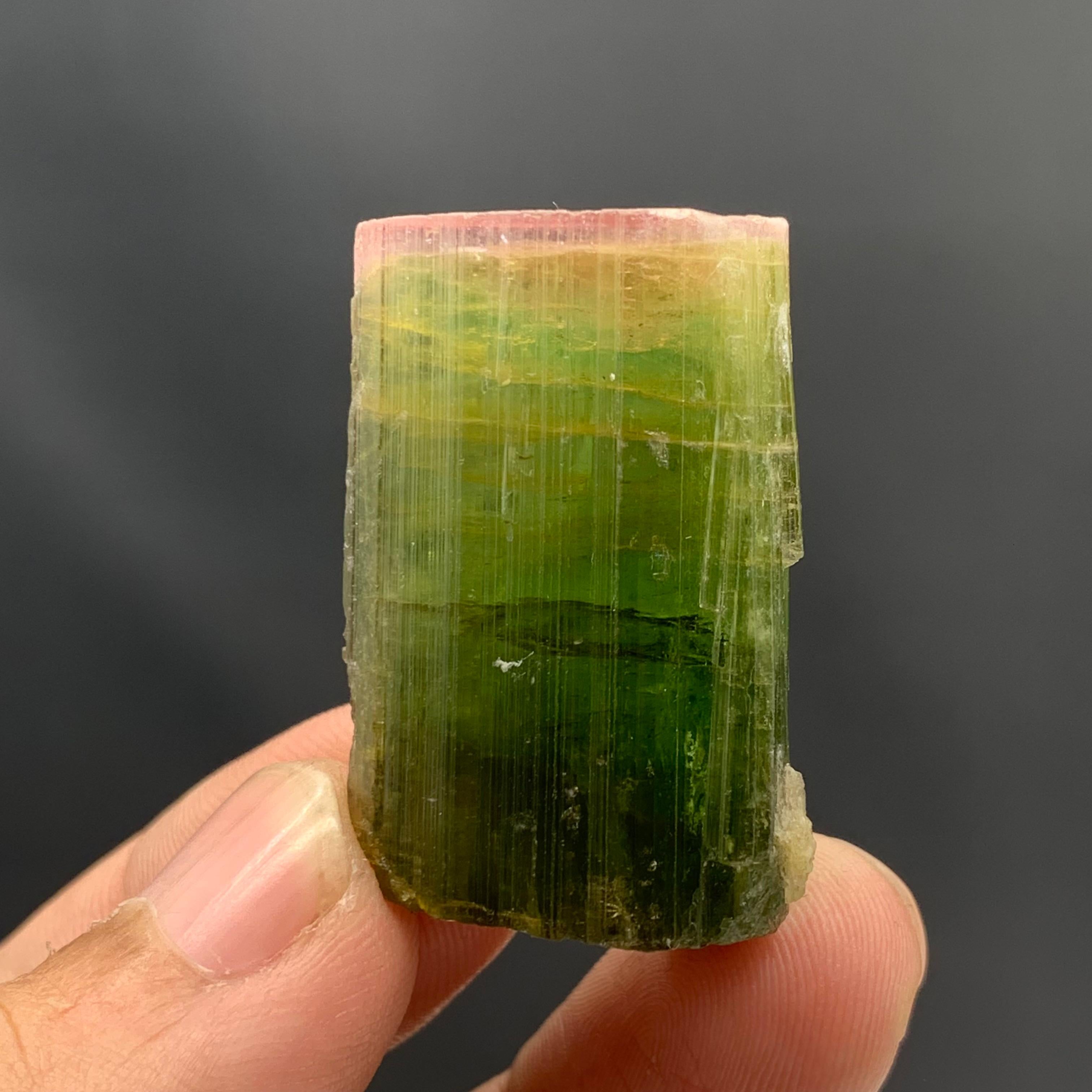 18th Century and Earlier 20.63 Gram Elegant Pink Cap Tri Color Tourmaline From Paprook, Afghanistan  For Sale