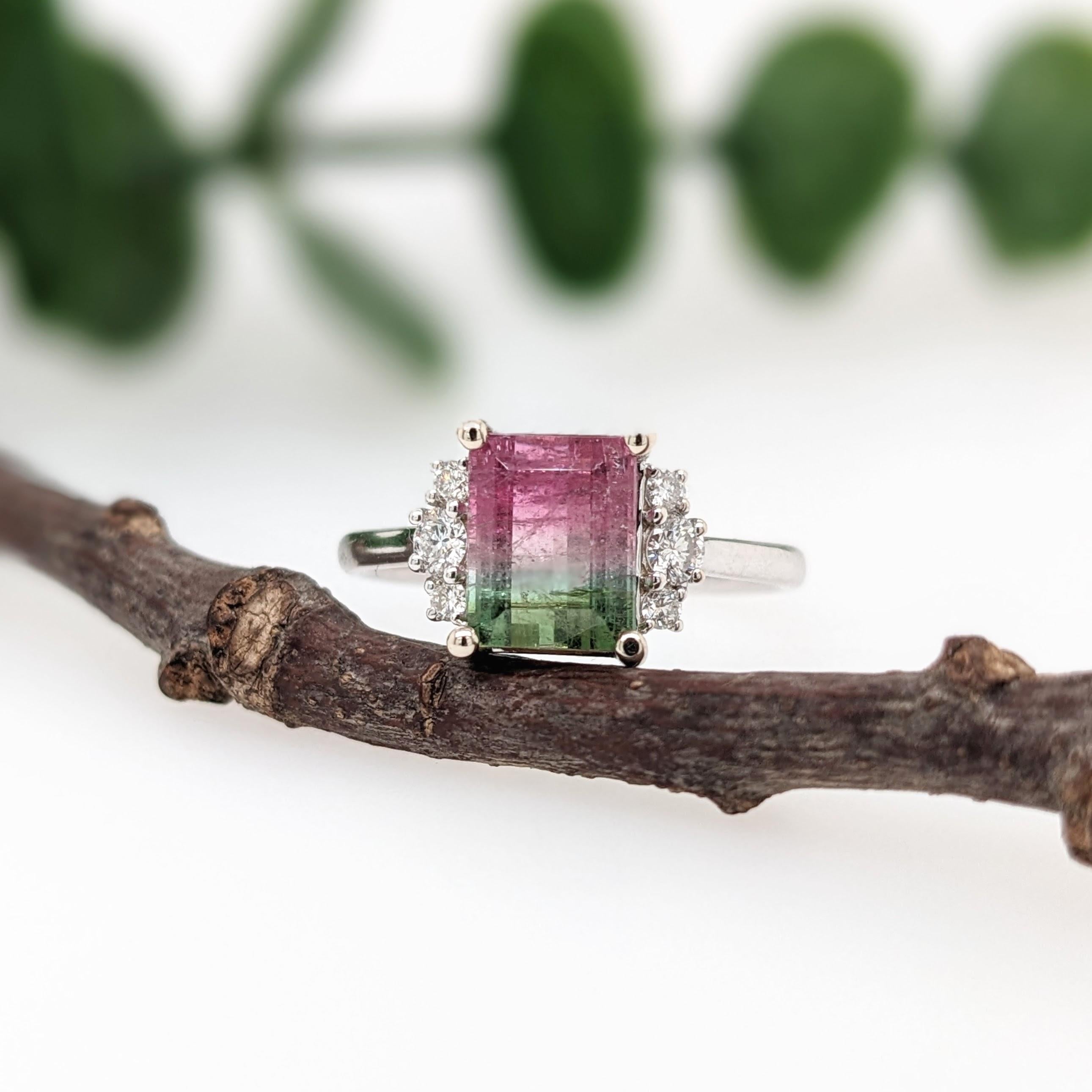 This ring features a beautiful pink and green watermelon Tourmaline with gorgeous saturated hues. It is set with sparkling natural diamond accents in 14k white Gold. A gorgeous statement ring to showcase this unique stone!

Specifications

Item