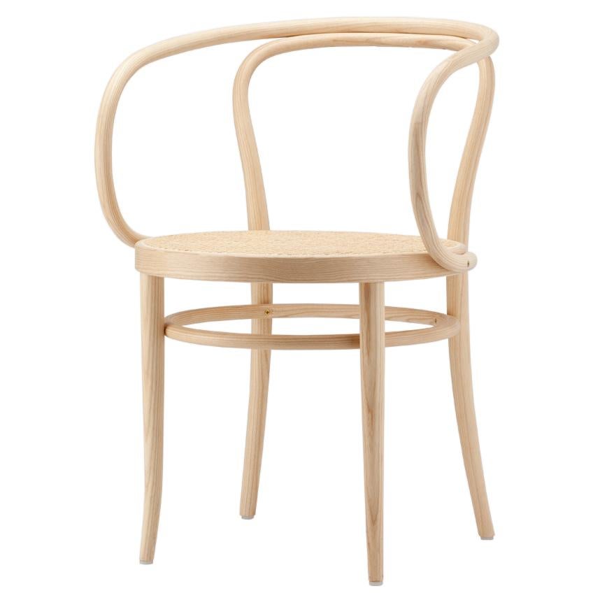 Customizable 209 Bentwood Chair by Gebrüder T, 1819 For Sale