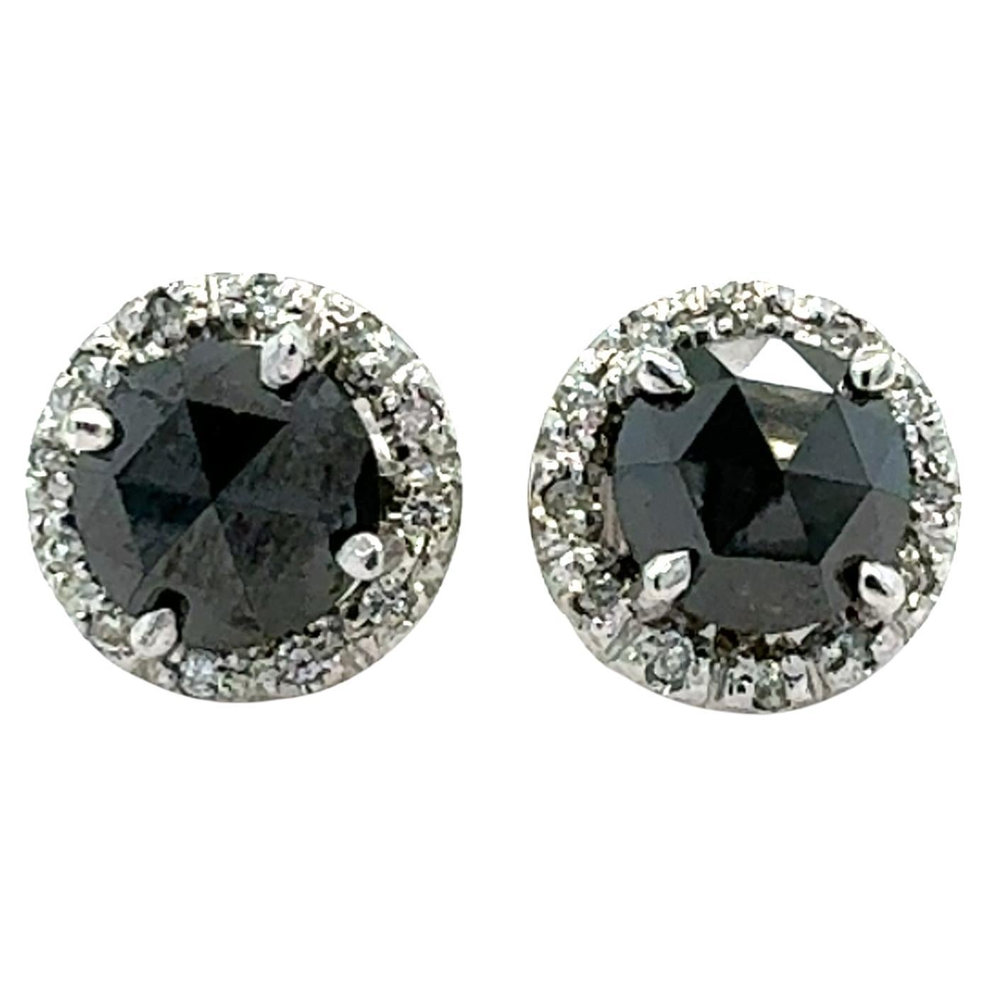 2,09 Karat Schwarzer Diamant-Ohrstecker 14 Karat Weißgold im Angebot