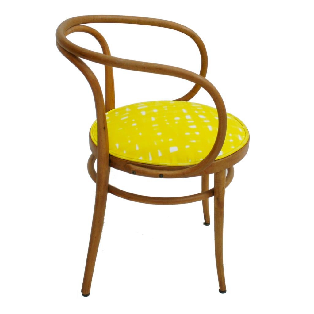 209 Thonet Midcentury Birchwood Yellow Upholstery Dining Chairs, Germany, 1900 In Good Condition In Madrid, ES