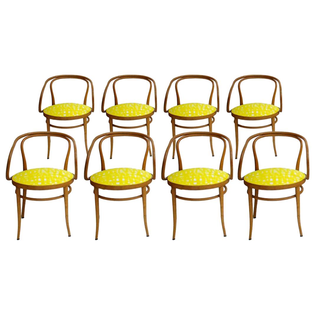 209 Thonet Midcentury Birchwood Yellow Upholstery Dining Chairs, Germany, 1900