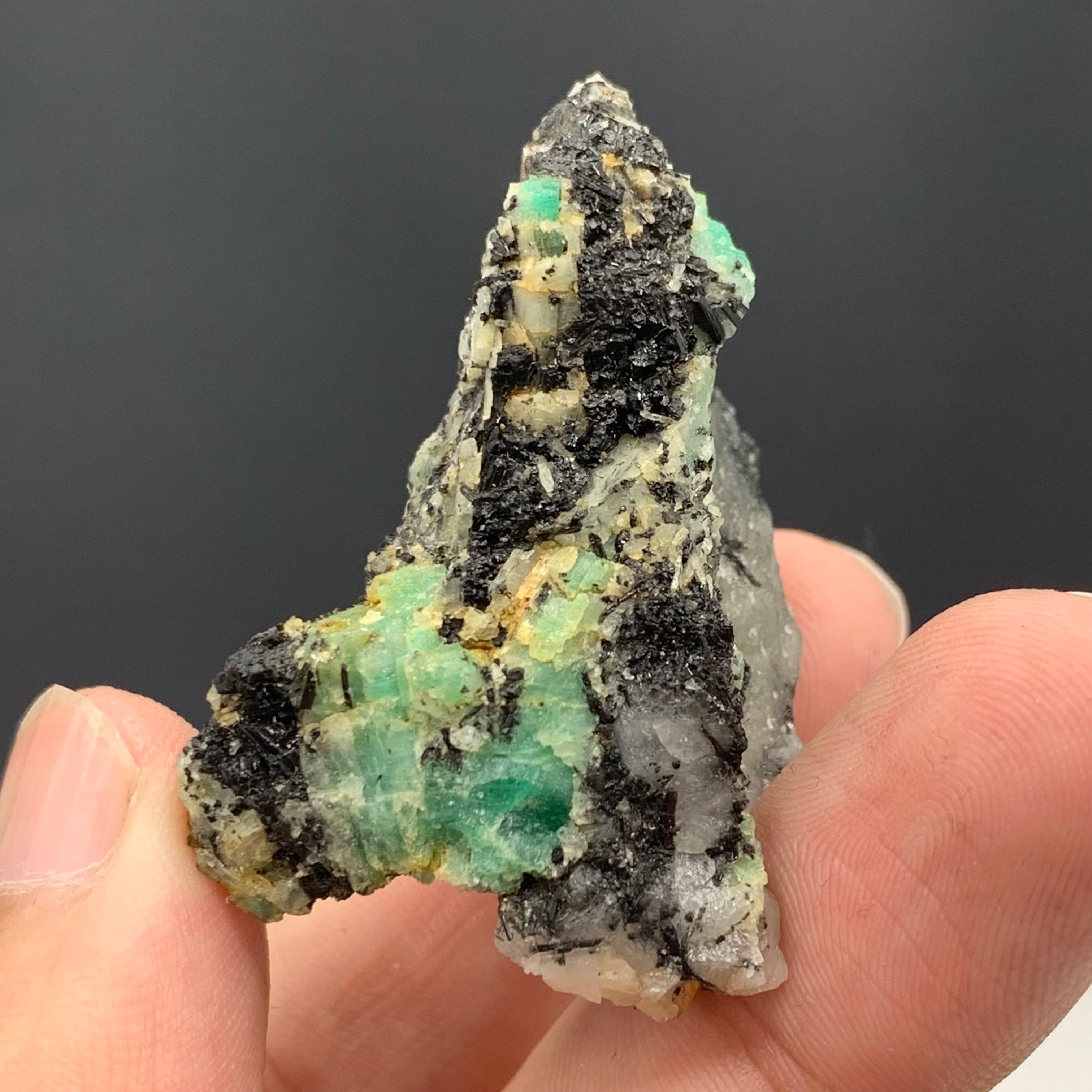 20,98 grammi di un bellissimo esemplare di smeraldo proveniente dalla Valle di Chitral, Pakistan in vendita 3