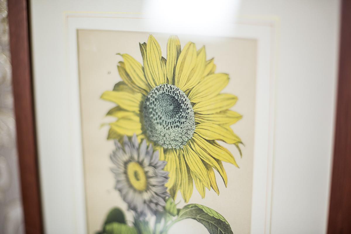 Wir präsentieren Ihnen eine der sechs Grafiken mit Darstellungen von Gartenpflanzen aus derselben Serie.
Diese Grafik ist in einem Holzrahmen mit Glas gerahmt.

Jeder Artikel der Serie ist einzeln erhältlich.

Der Preis gilt für ein Stück.