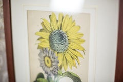 20th Century Colorful Graphic/Sunflowers