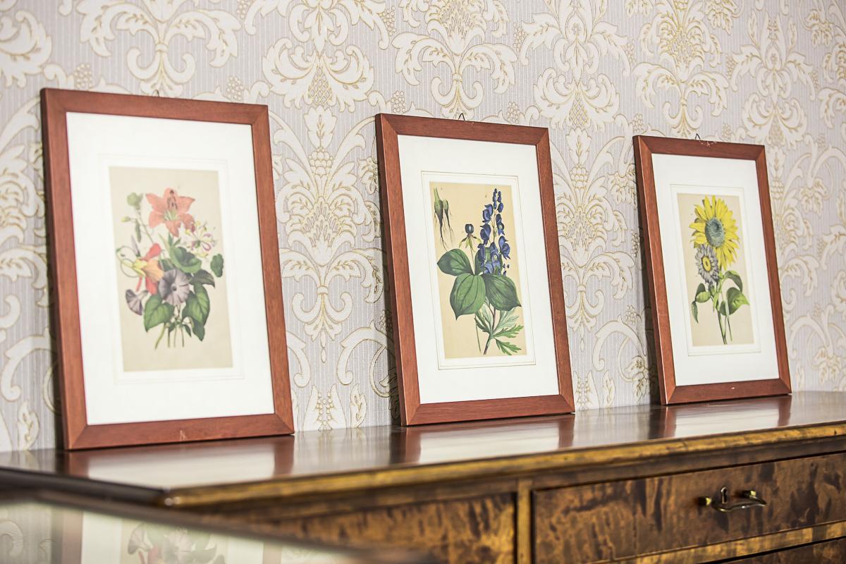 Bunte Grafiken/Sonnenblumen des 20. Jahrhunderts im Zustand „Gut“ im Angebot in Opole, PL