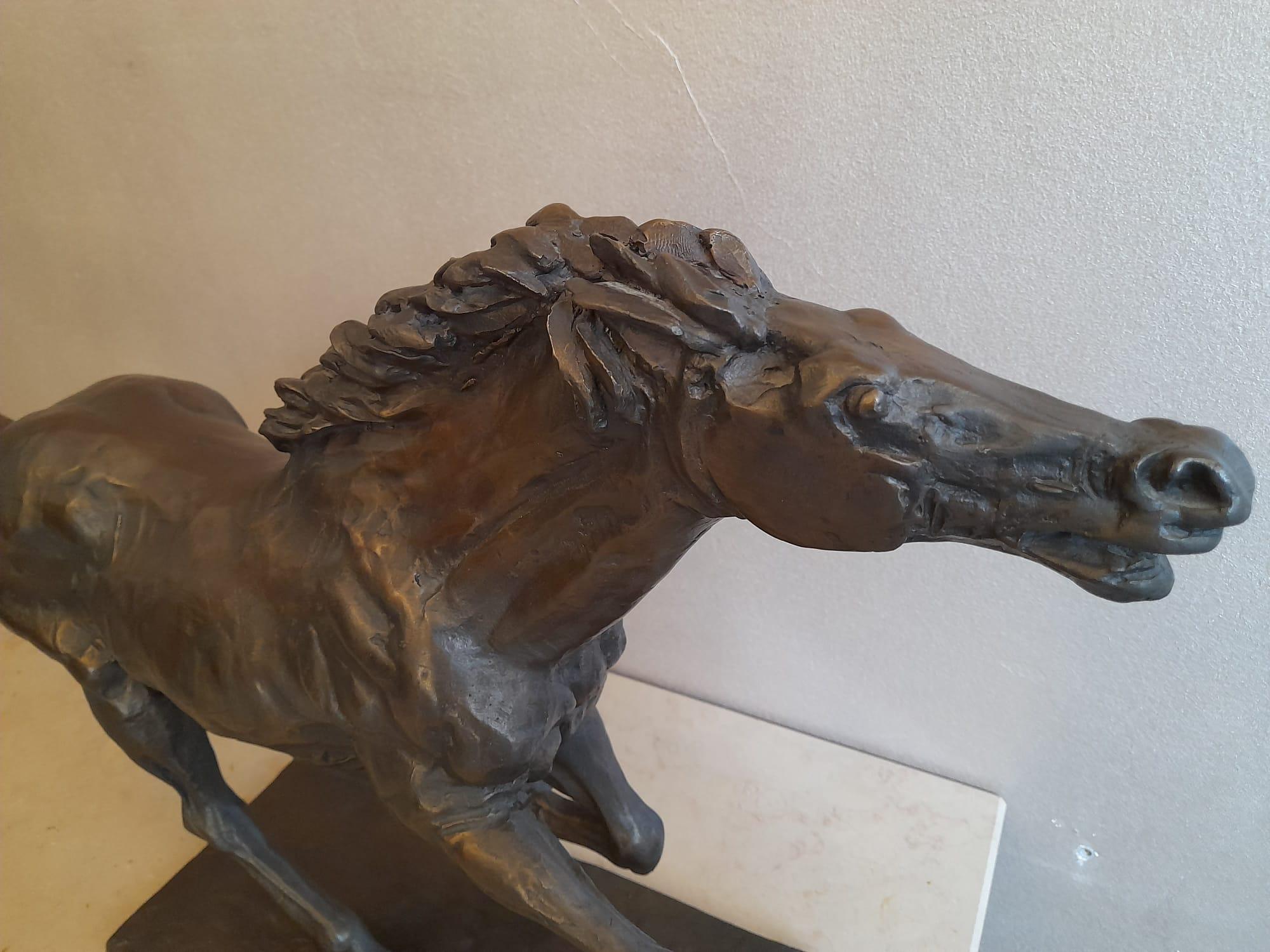 Sculpture de cheval en bronze du 20ème siècle par Messina 1