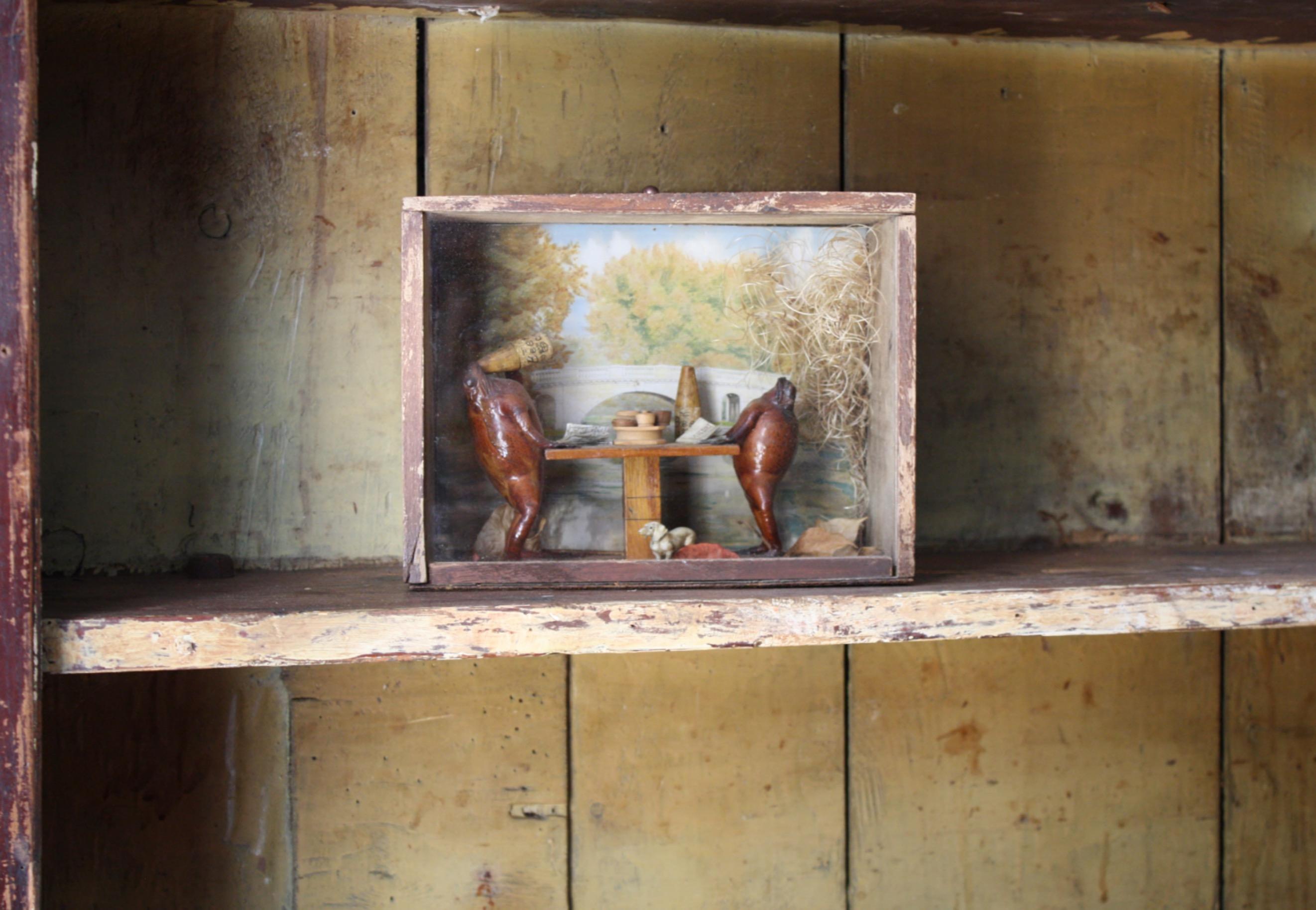 Ein Paar trinkender Kröten, untergebracht in einem glasierten Kiefernholzgehäuse, mit einer Collage als Hintergrund.

Ganz in der Art von Walter Potter, Mitte des 20. Jahrhunderts.

Maße: 23.5 cm in der Breite 
11cm Tiefe 
18 cm hoch.
 