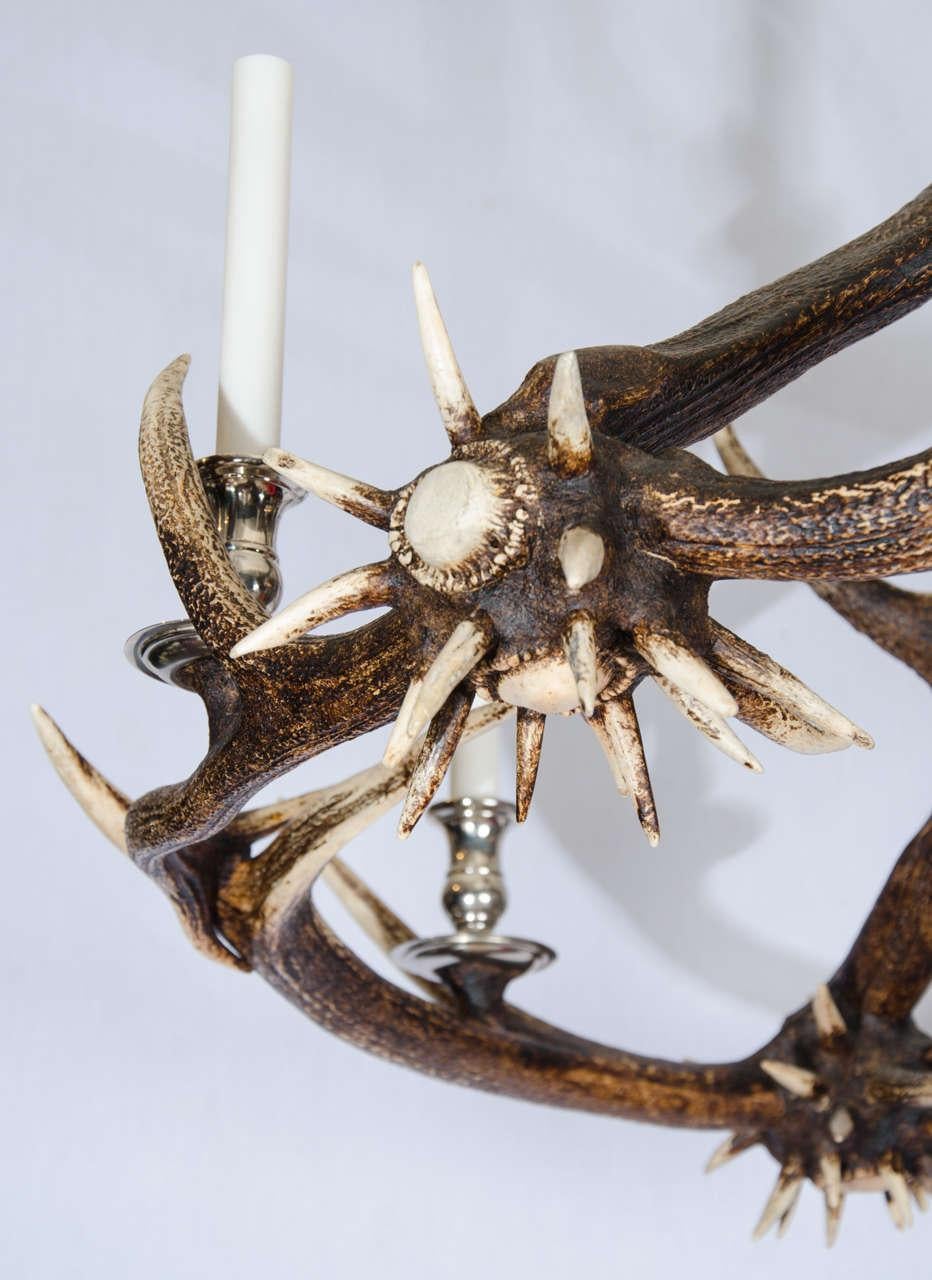 This original and unusual antler chandelier is made from naturally shed red deer horns from the Scottish Highlands. The chandelier is a very stylish and new design that features 6 long tapered candle type lights on nickel-plated bases with natural