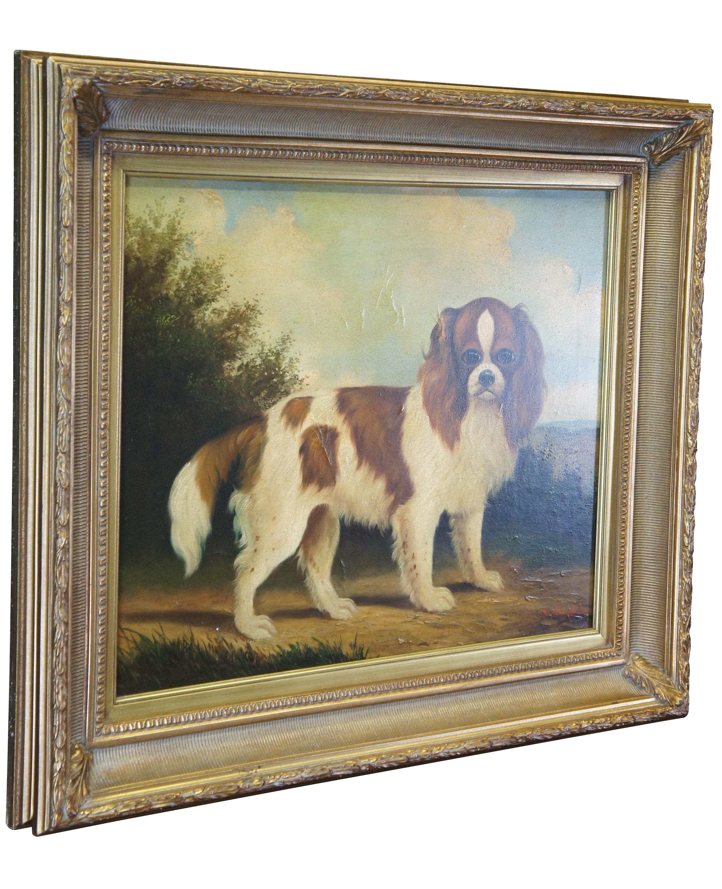 Late 20th century oil painting by Paul English.  Features a brown and white cavalier posing on a trail landscape.  The canvas is signed lower right and framed in gold.  Paul English (contemporary) is active/lives in United Kingdom.

Dimensions:
28