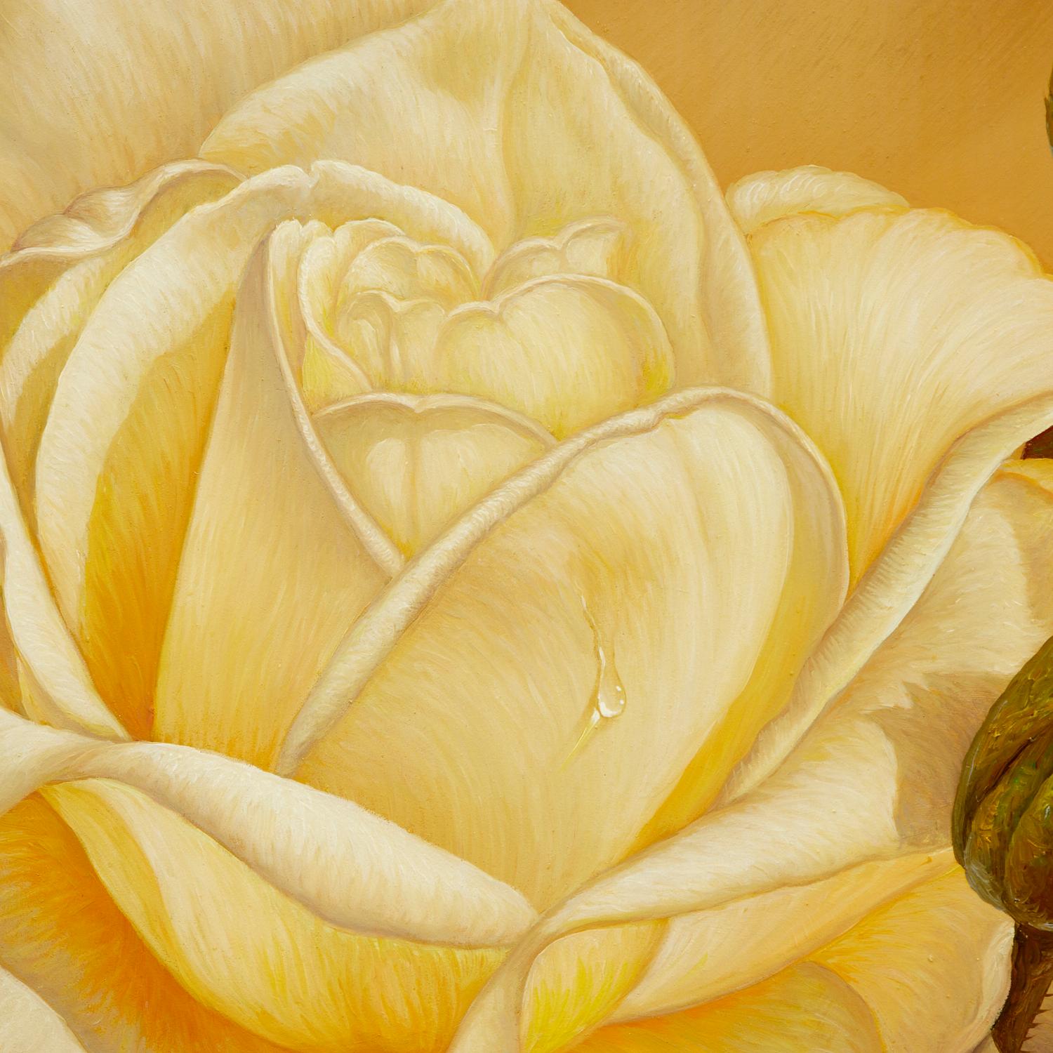 Moderno Olio su tela incorniciato del 20° secolo - Una rosa bianca realistica di Myung 