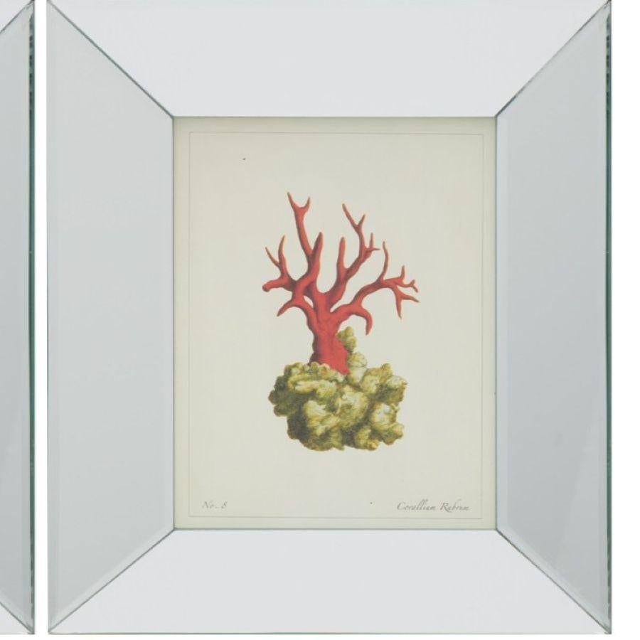 Hollywood Regency 20e s. Lot de 4 impressions de corail encadrées, coraillium Rubrum, d'après gravures anciennes en vente