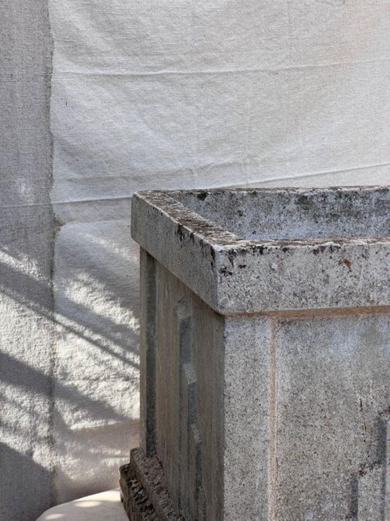 Ein elegantes Paar Pflanzgefäße aus Zement im Art-déco-Stil des 20. Das Pflanzgefäß hat einen schönen Hauch von verwitterter Patina. Das Paar ist perfekt, um Ihr Lieblingsgrün in Ihrem Garten oder auf Ihrer Terrasse zu präsentieren.

Abmessungen: 16