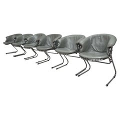 6 graue Flynn-Stühle aus Leder des 20. Jahrhunderts, entworfen von Gastone Rinaldi für RIMA