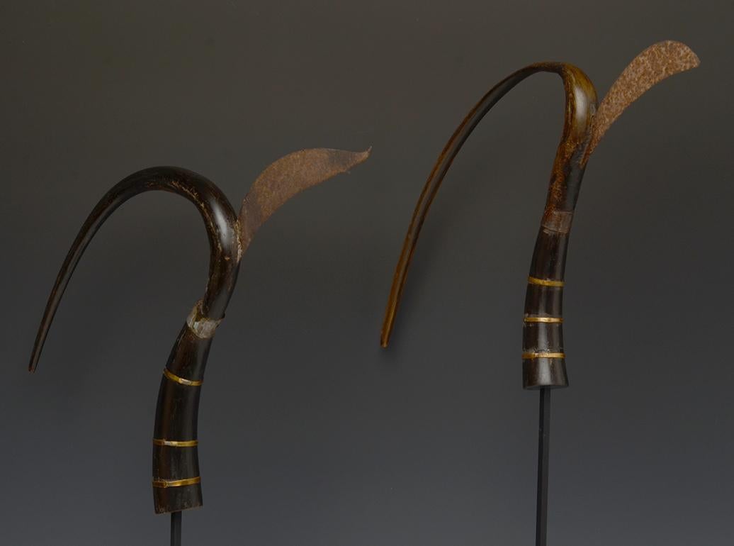 20th Century, A Pair of Antique Cambodia Rice Cutters 7