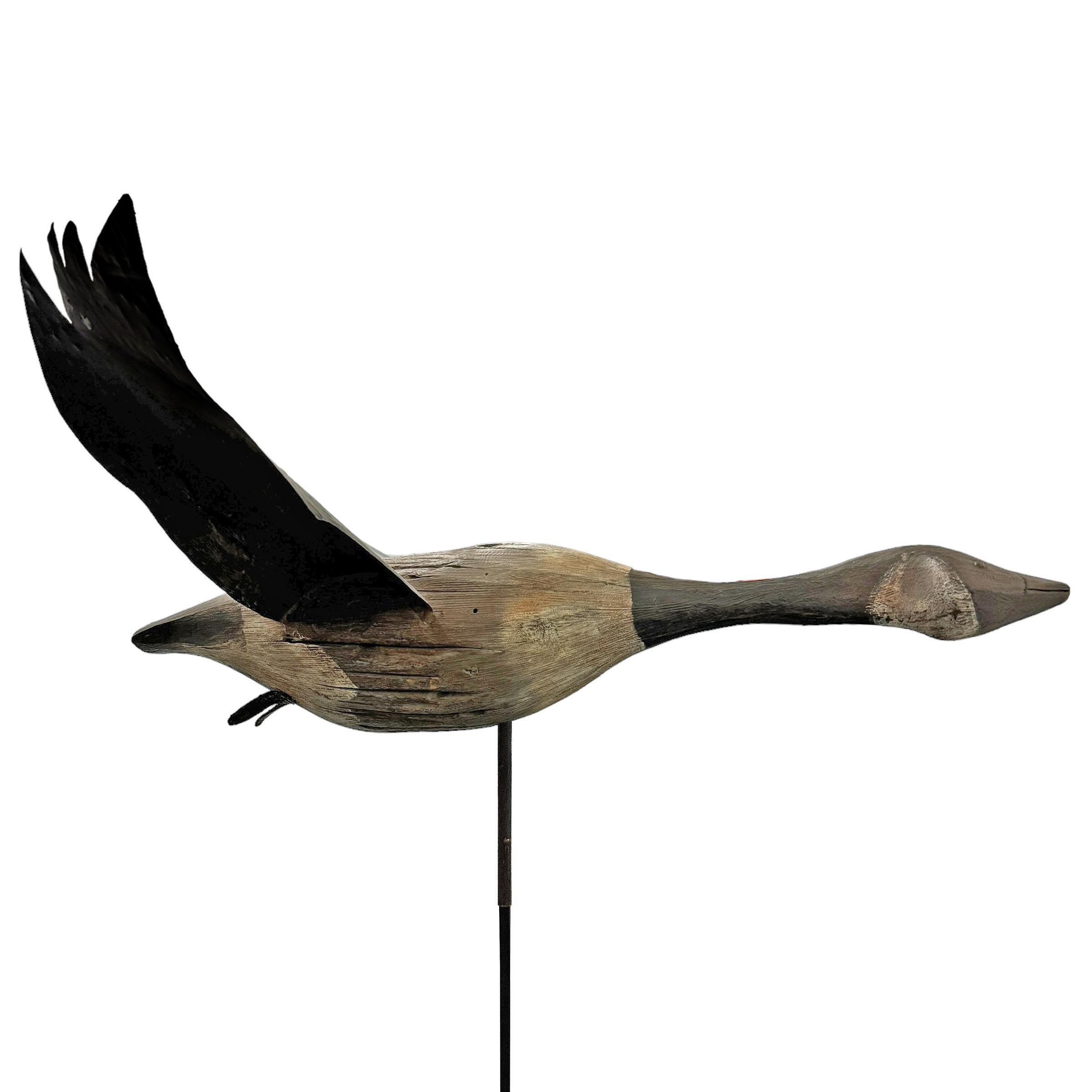 Driftwood 20th Century American Folk Art Canada Goose on Custom Steel Mount For Sale