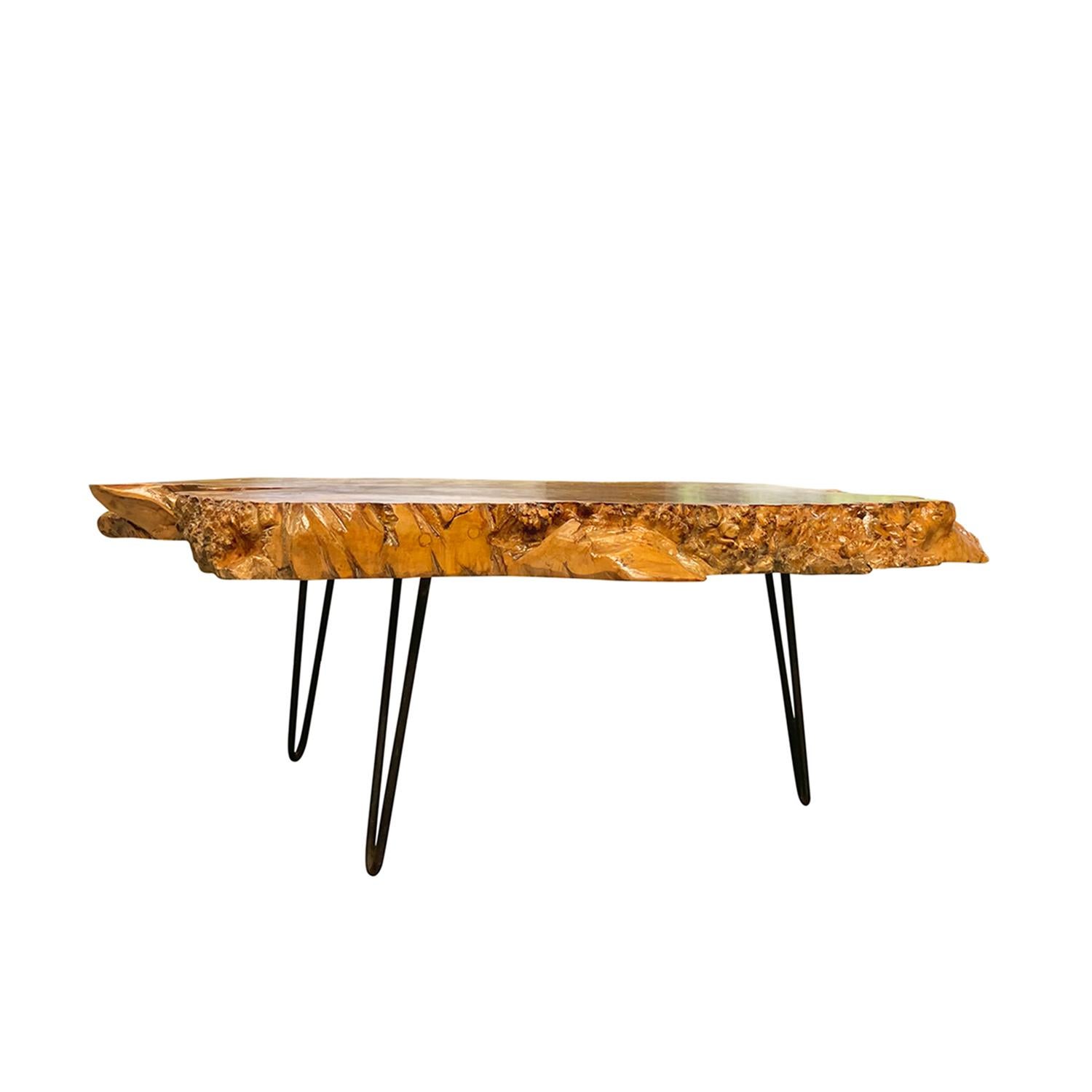 A sculptural, vintage Mid-Century modern American coffee, sofa table made of hand crafted polished Burlwood, in good condition. The detailed tree trunk table is particularized by grains which can be seen from all angles, standing on three metal