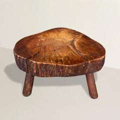 20th Century American Tree Trunk Low Table