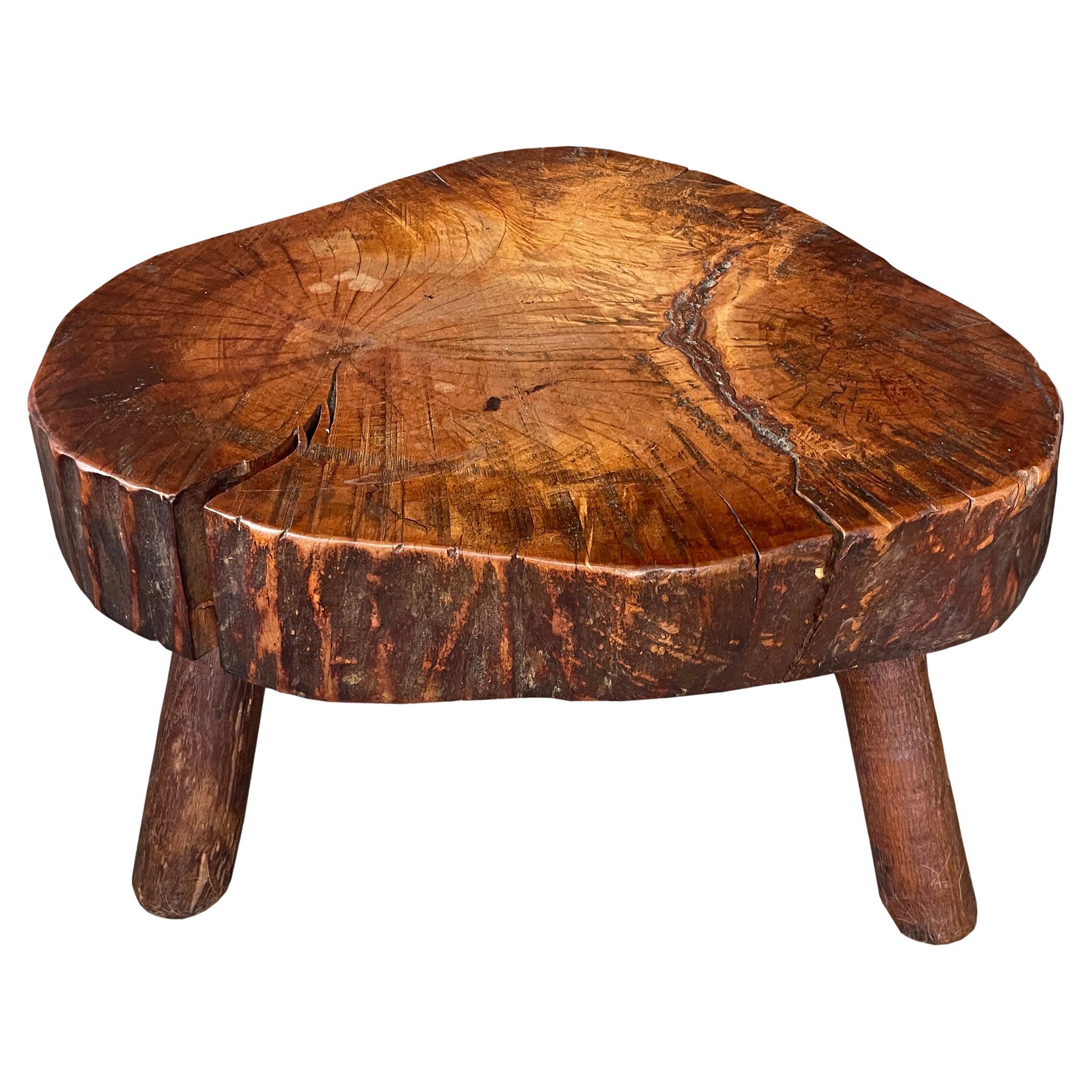 20th Century American Tree Trunk Low Table