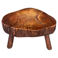 20th Century American Tree Trunk Low Table