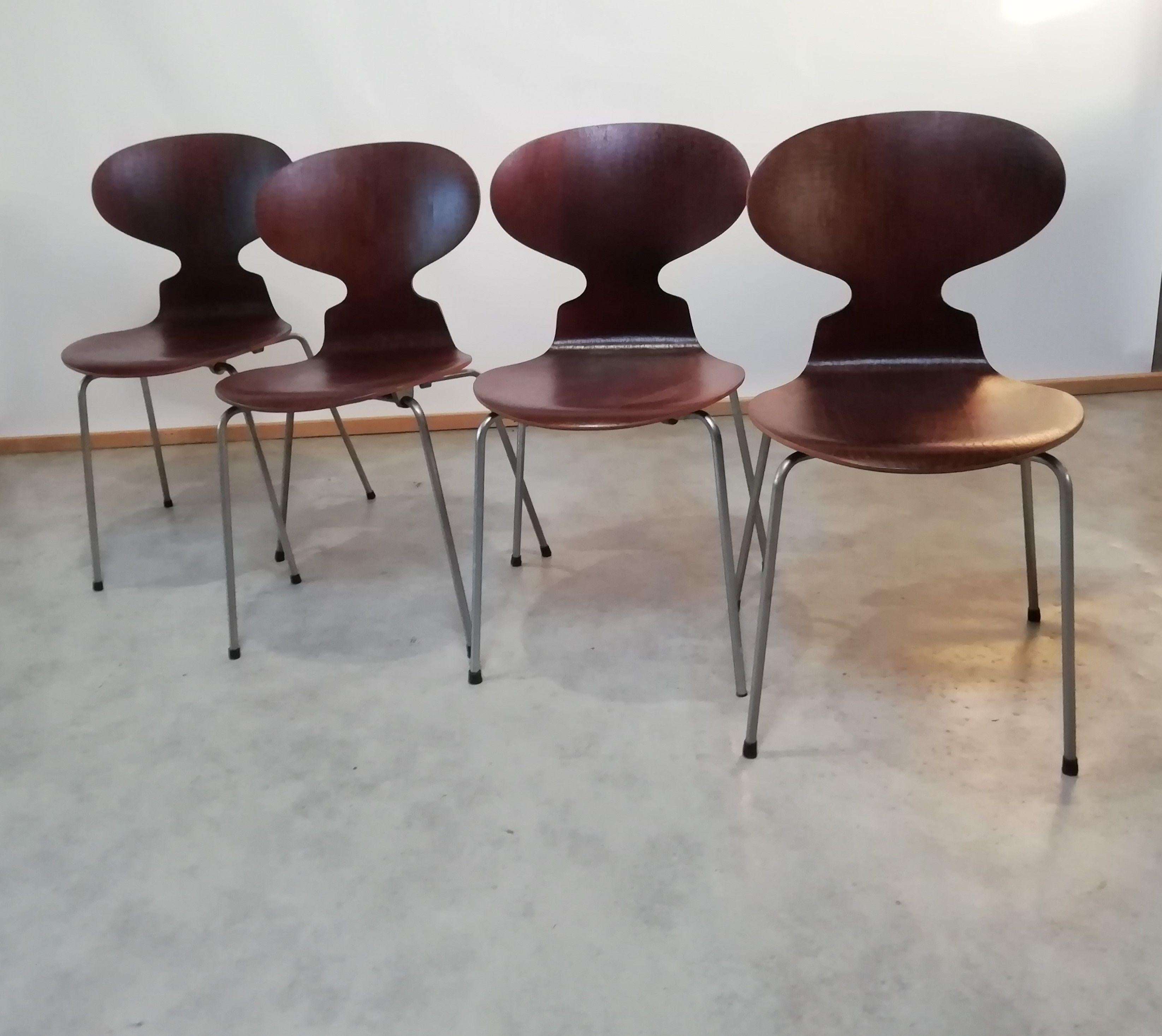 Set of four teak Ant chairs, model 3101, designed by Arne Jacobsen in 1952 and manufactured by Fritz Hansen in the 50's. Chairs were carefully restored and oiled and tehy are in beutiful vintage condition.