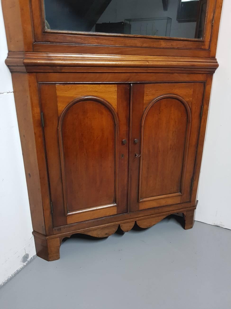 British 20th Century Antique Style English Corner Cupboard or Cabinet