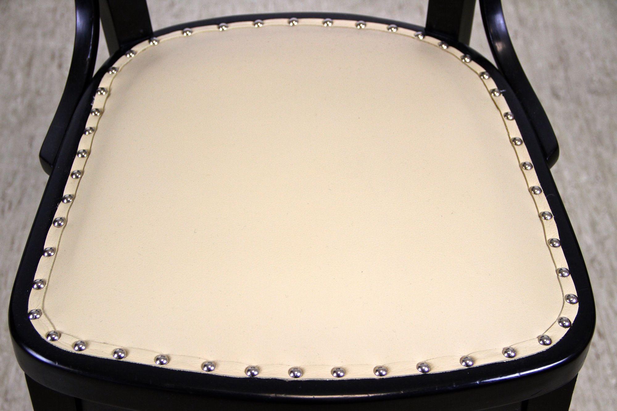 20th Century Art Nouveau Dining/ Salon Suite with Round Table by Thonet, AT 1910 For Sale 11