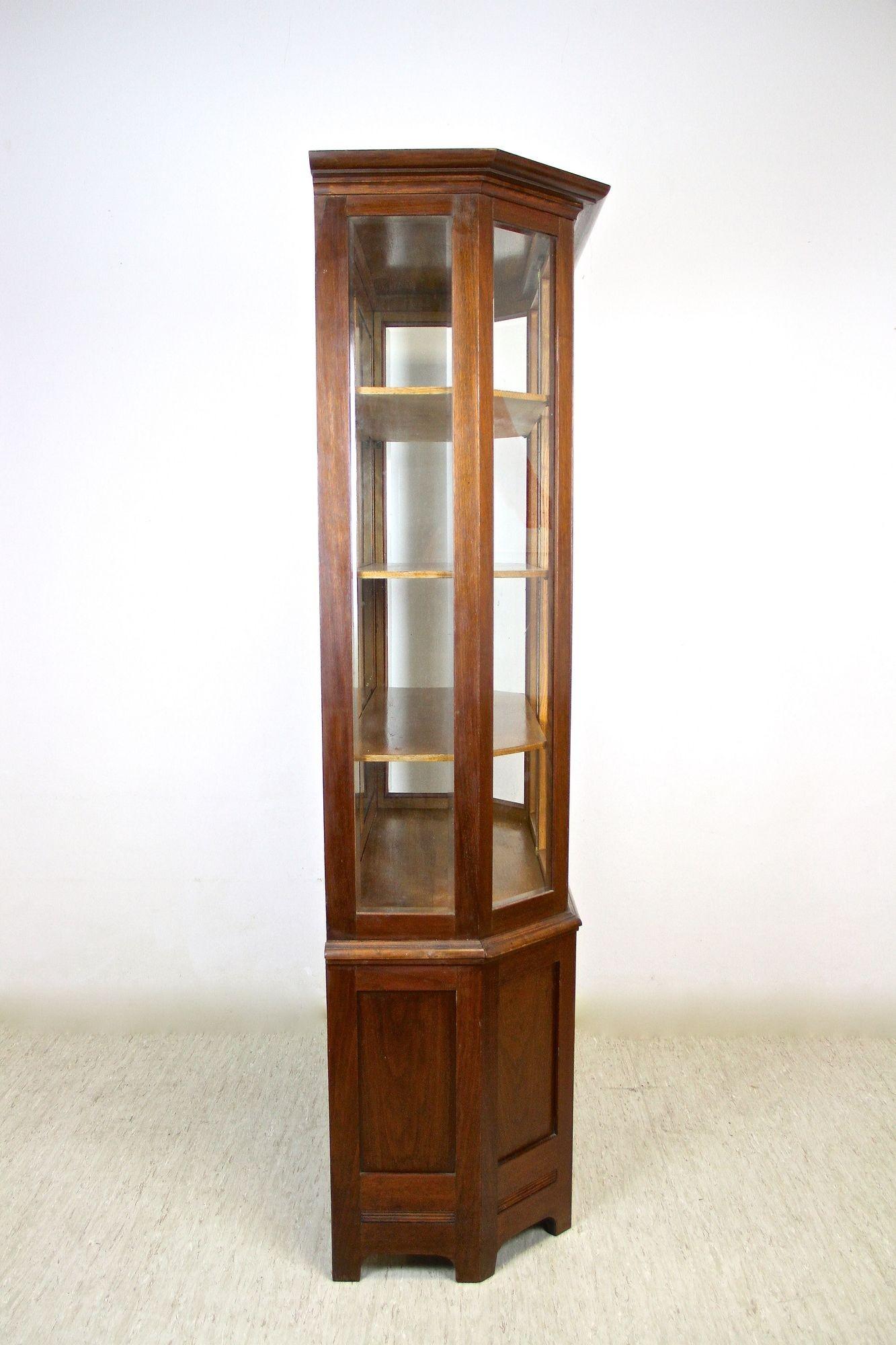 20th Century Art Nouveau Display Cabinet/ Vitrine, Mahogany, AT ca. 1910 For Sale 6