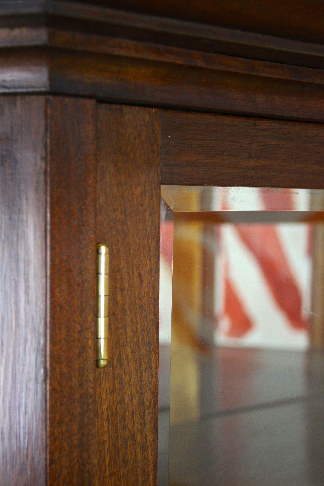 Brass 20th Century Art Nouveau Display Cabinet/ Vitrine, Mahogany, AT ca. 1910 For Sale