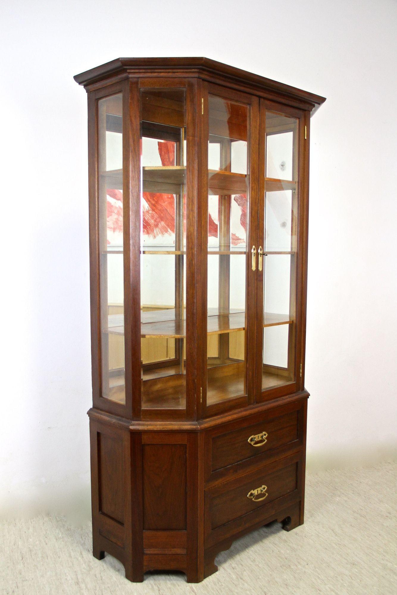 20th Century Art Nouveau Display Cabinet/ Vitrine, Mahogany, AT ca. 1910 For Sale 4