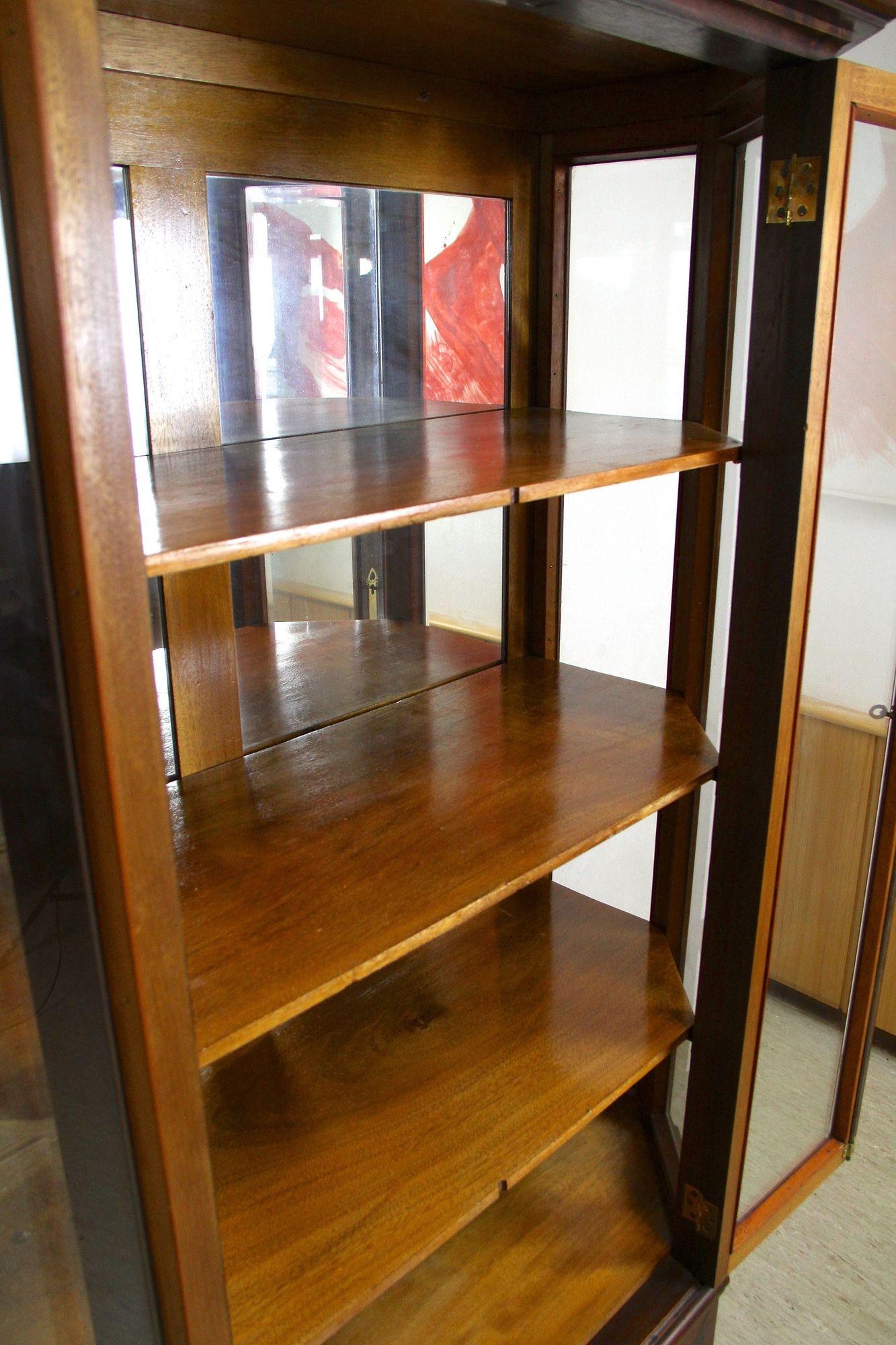 20th Century Art Nouveau Display Cabinet/ Vitrine, Mahogany, AT ca. 1910 For Sale 5
