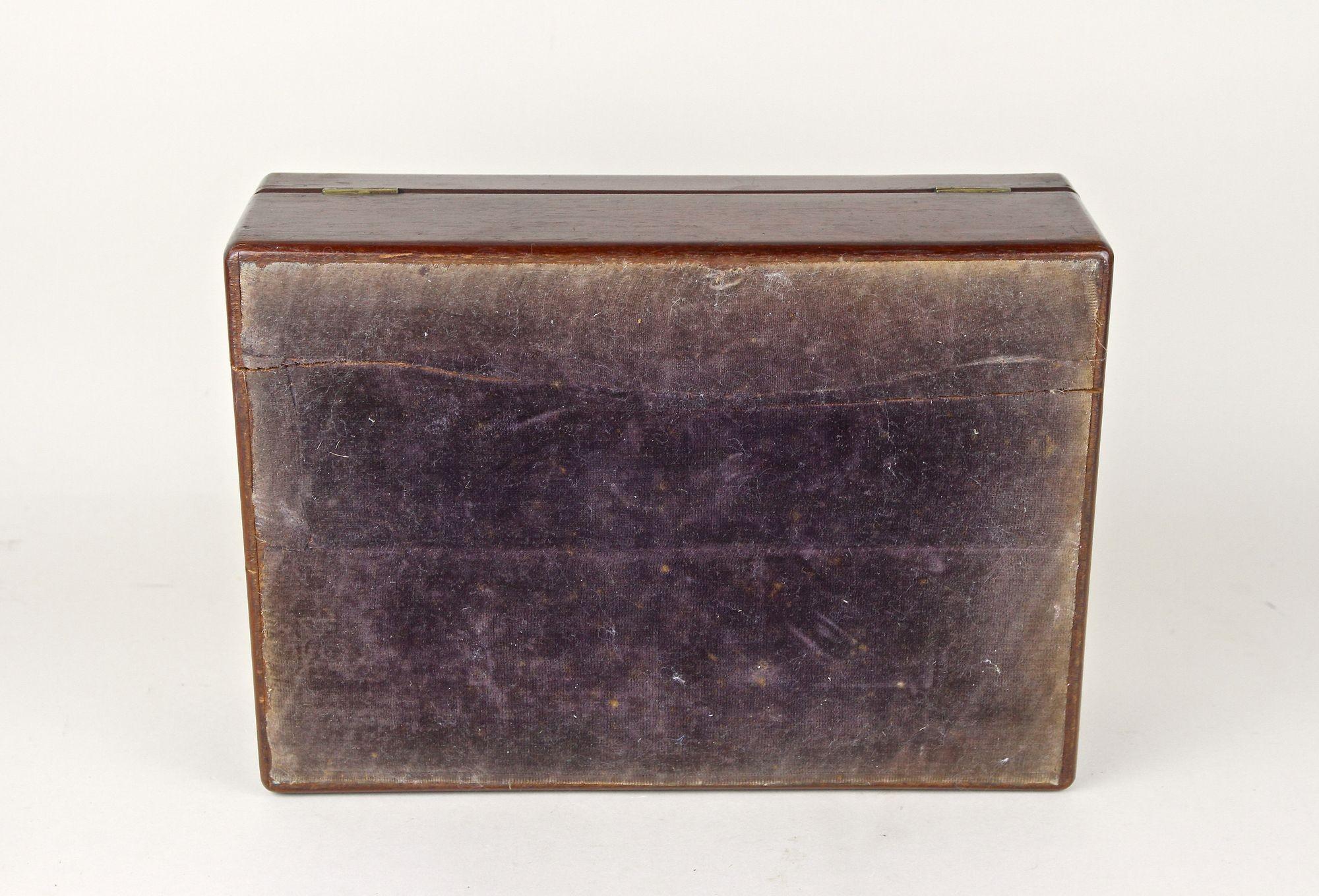 Caja/humidor de madera de caoba Art Nouveau del siglo XX, AT ca. 1915 8
