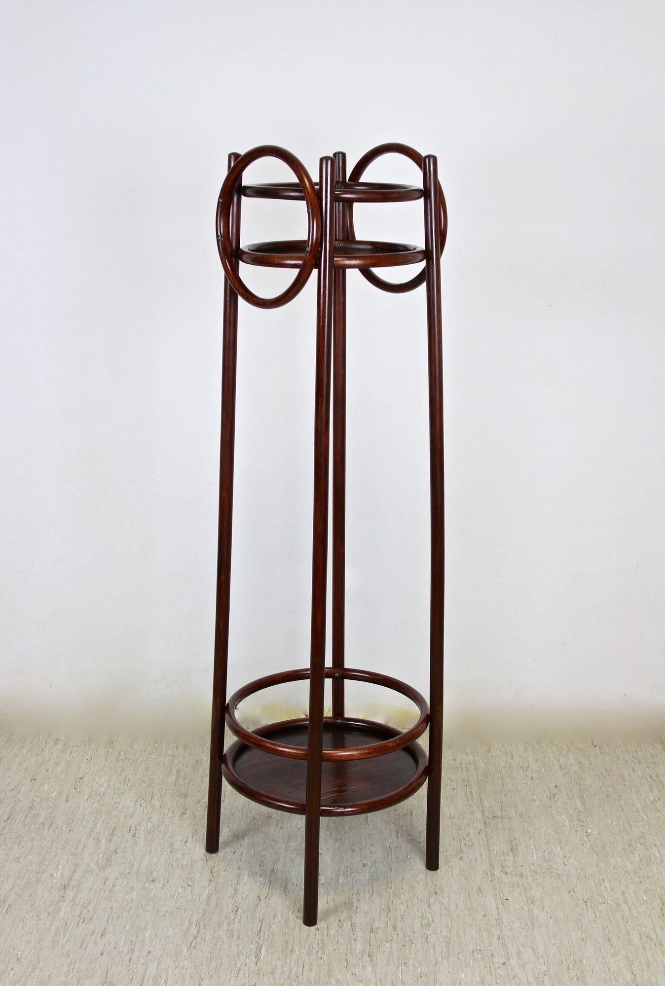 Pedestal/plantero Art Nouveau del siglo XX de THONET, madera curvada, AT ca. 1905 en venta 3