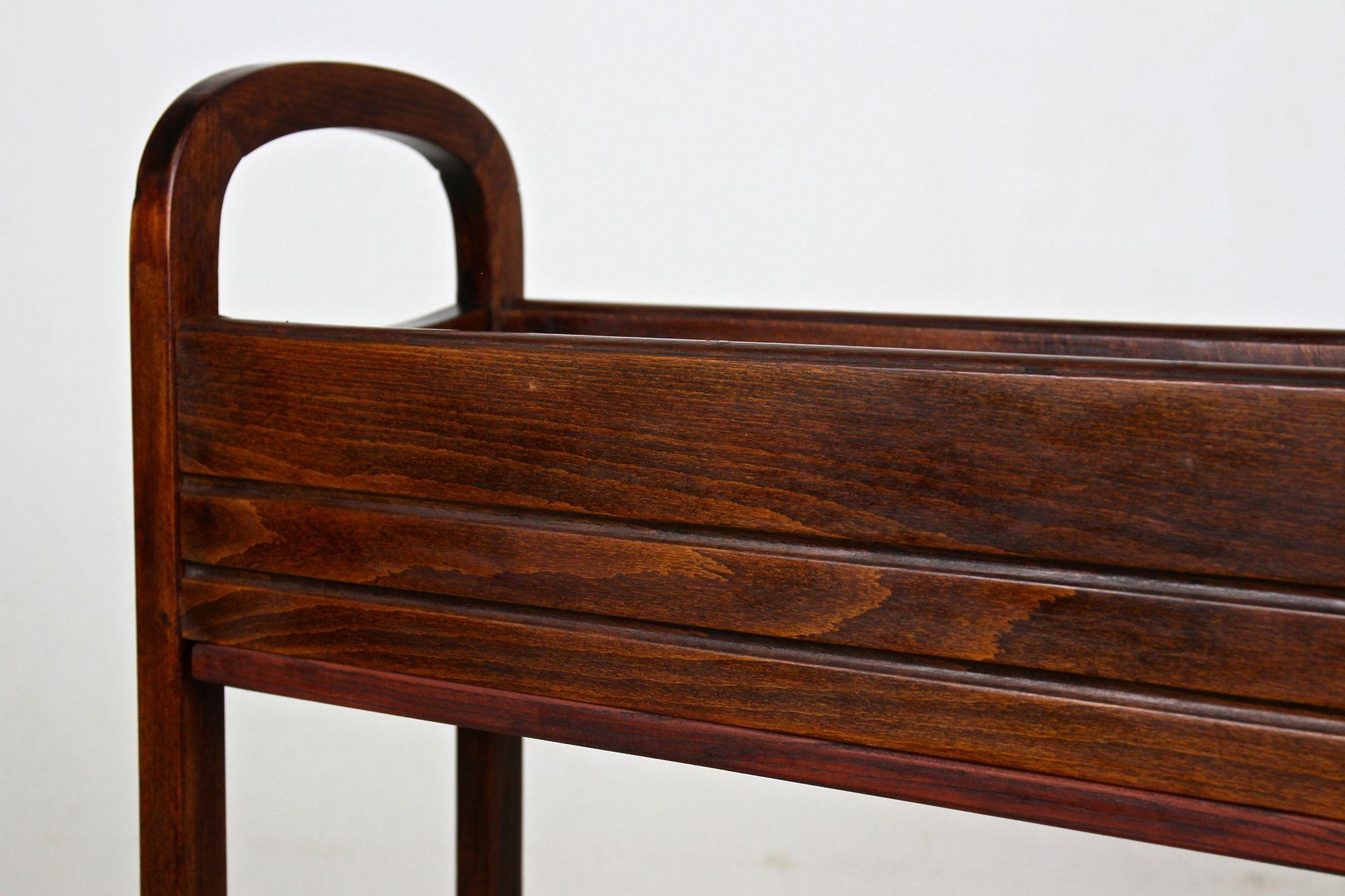 20. Jahrhundert Jugendstil Thonet Blumenkübel / Pflanzenständer, Bugholz, AT ca 1915 im Angebot 7