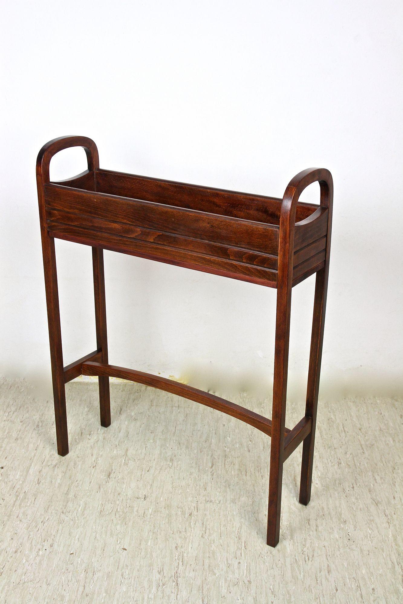 20. Jahrhundert Jugendstil Thonet Blumenkübel / Pflanzenständer, Bugholz, AT ca 1915 im Angebot 8