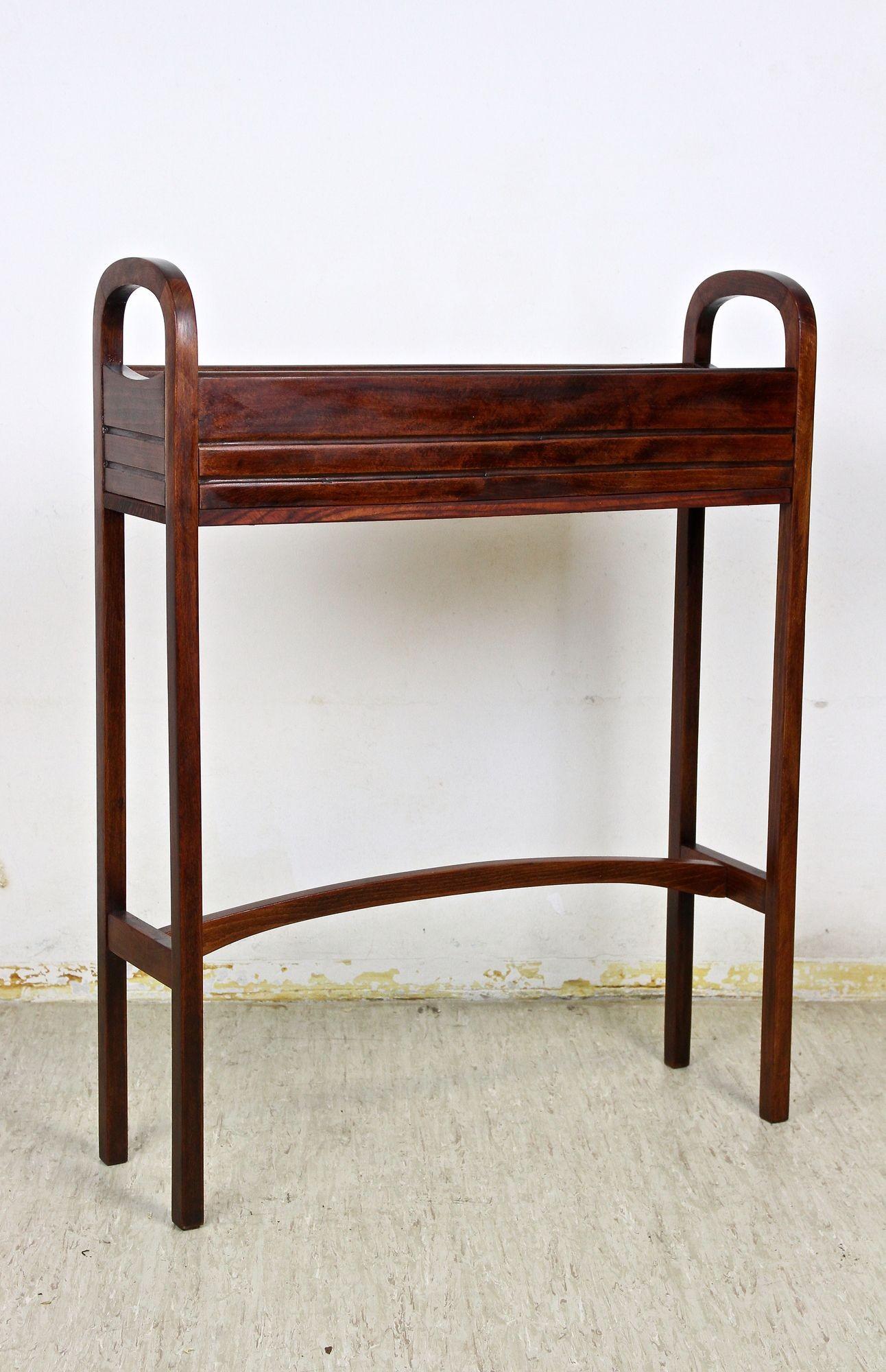 20. Jahrhundert Jugendstil Thonet Blumenkübel / Pflanzenständer, Bugholz, AT ca 1915 (Metall) im Angebot